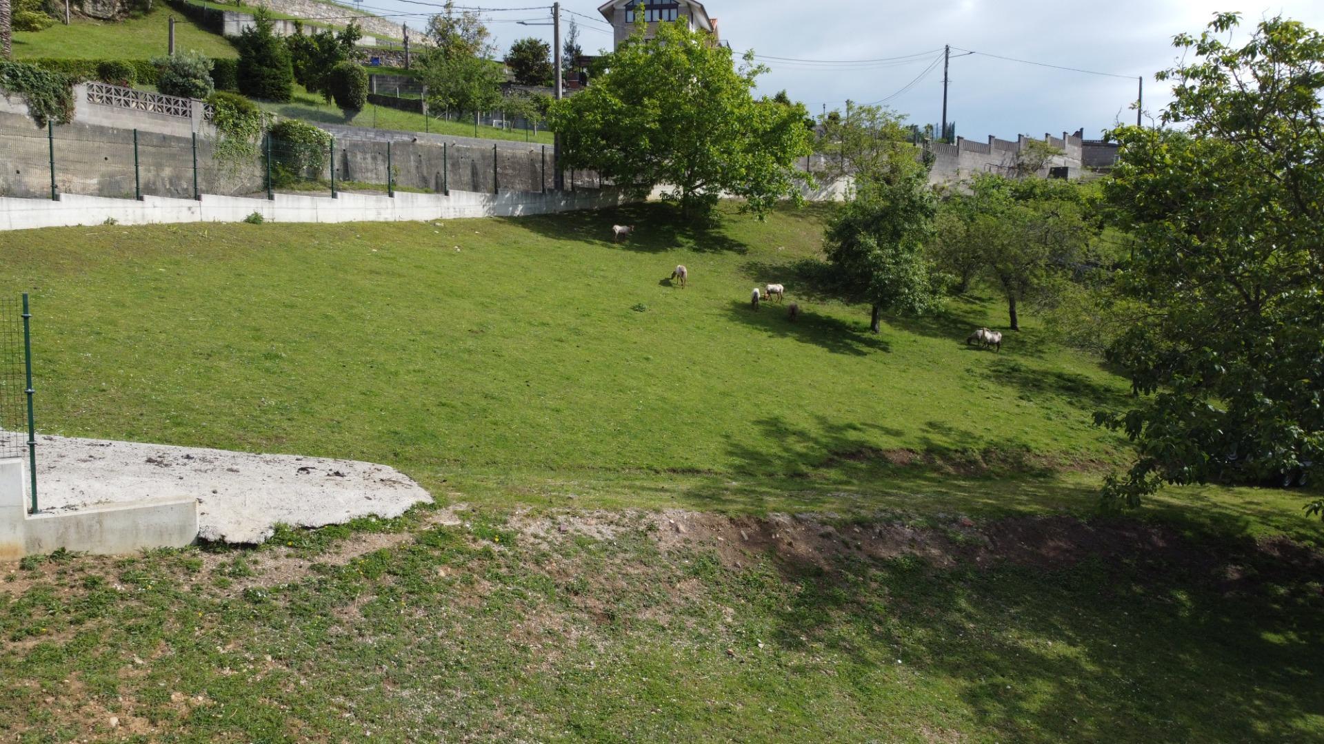 Fincas y solares-Venta-GijÃ³n-2411612-Foto-34