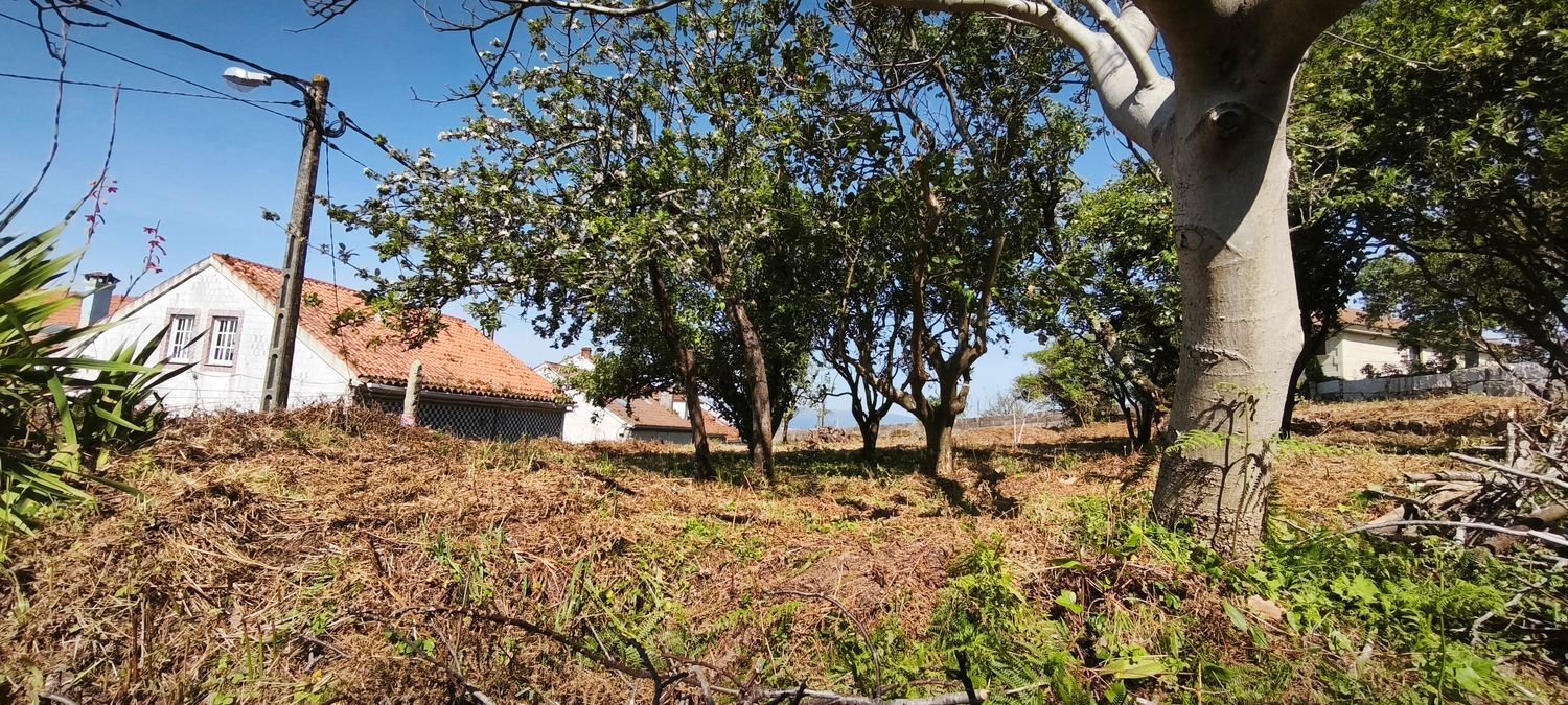 Fincas y solares-Venta-VilagarcÃ­a de Arousa-2241719-Foto-4