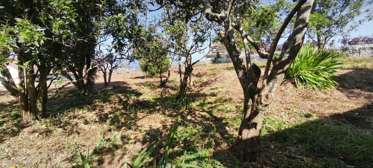 Fincas y solares-Venta-VilagarcÃ­a de Arousa-2241719-Foto-9