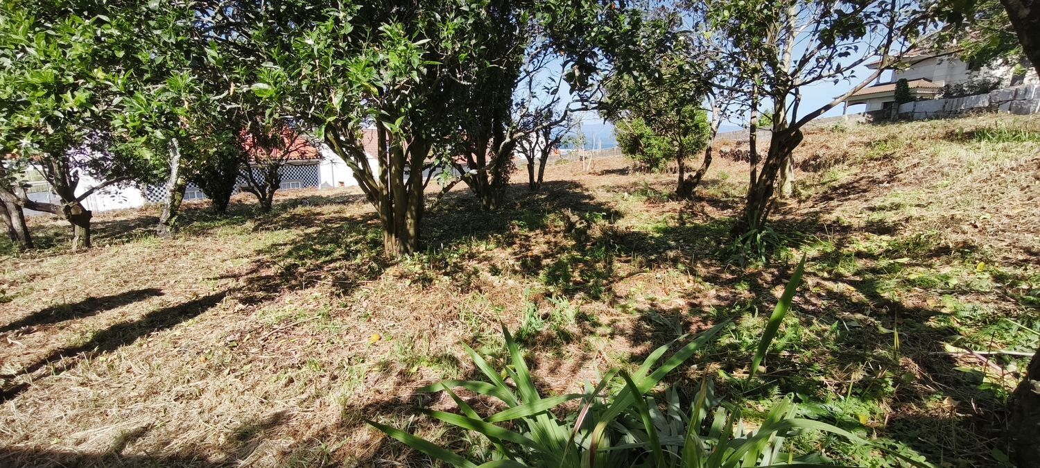 Fincas y solares-Venta-VilagarcÃ­a de Arousa-2241719-Foto-8