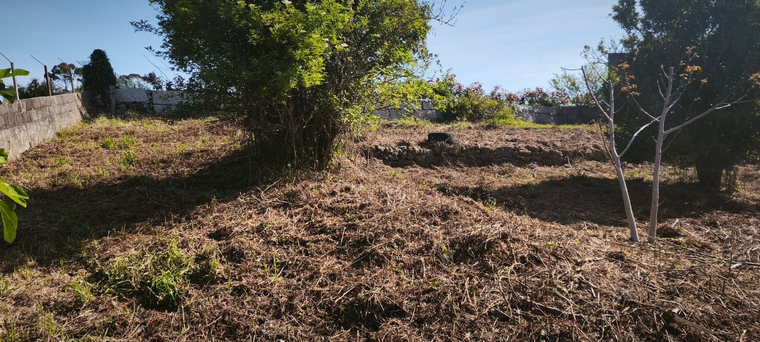 Fincas y solares-Venta-VilagarcÃ­a de Arousa-2241719-Foto-7