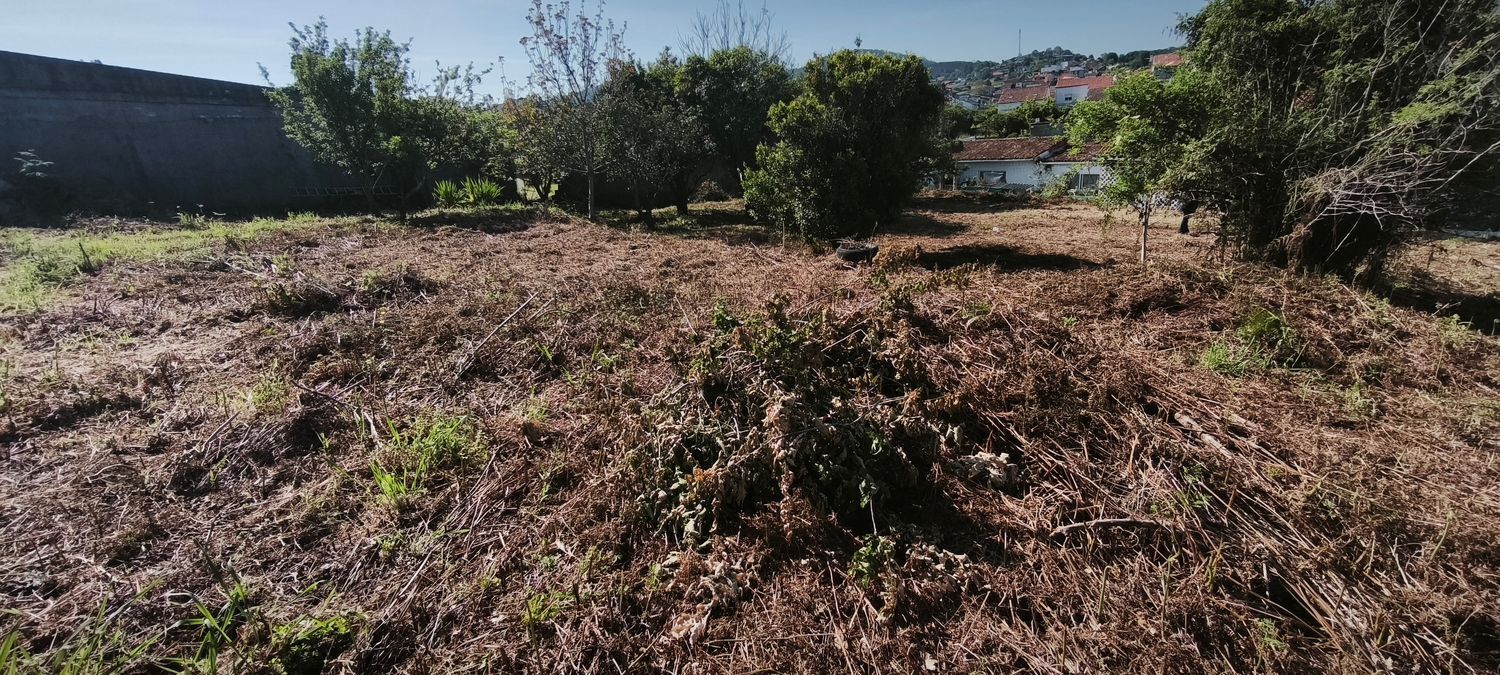 Fincas y solares-Venta-VilagarcÃ­a de Arousa-2241719-Foto-18
