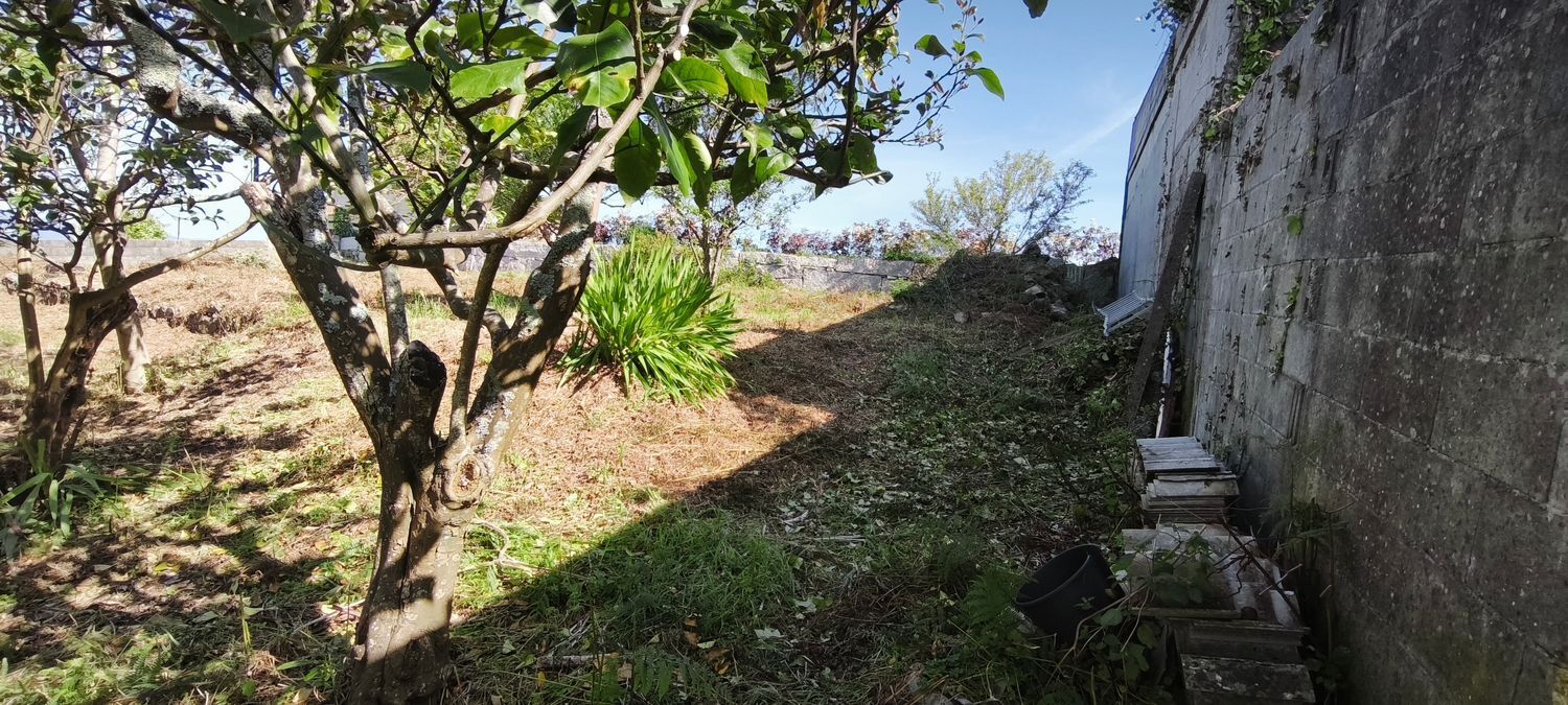 Fincas y solares-Venta-VilagarcÃ­a de Arousa-2241719-Foto-16