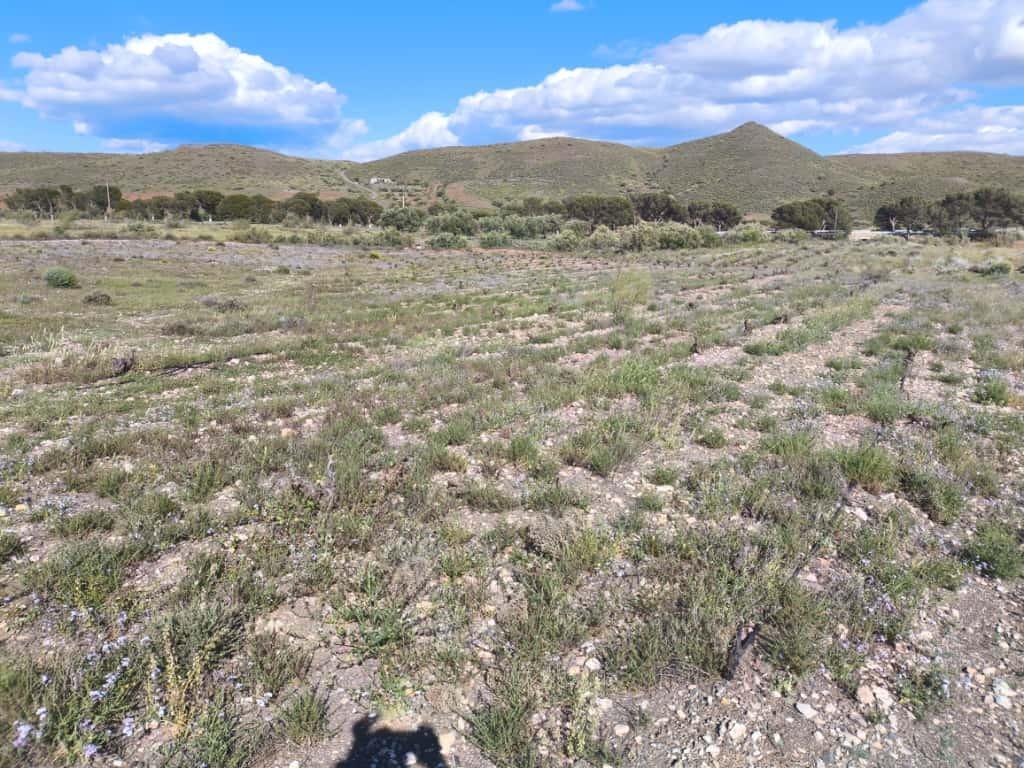 Fincas y solares-Venta-Alboloduy-2411624