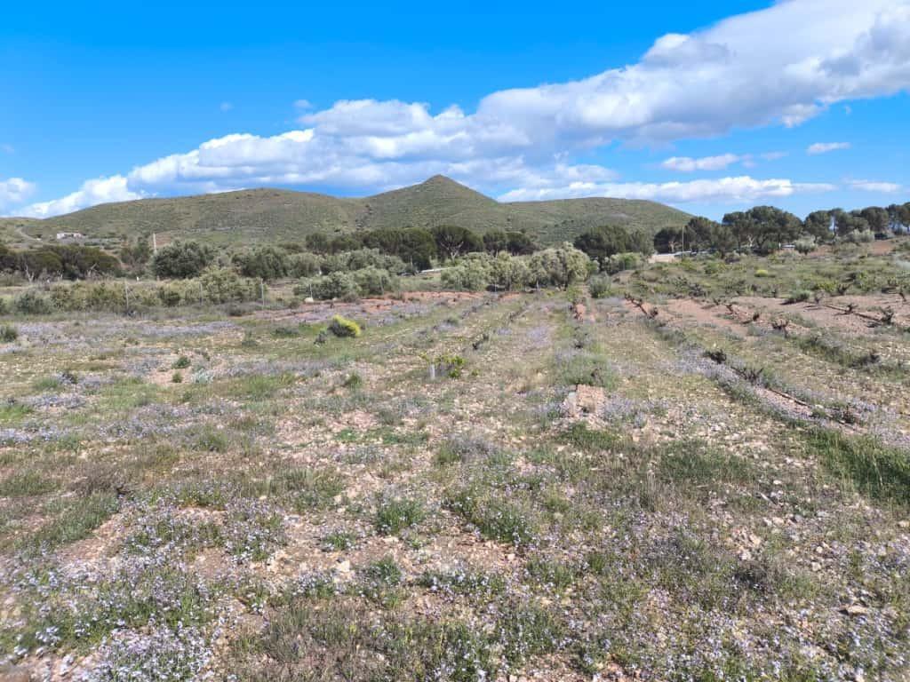 Fincas y solares-Venta-Alboloduy-2411624-Foto-5
