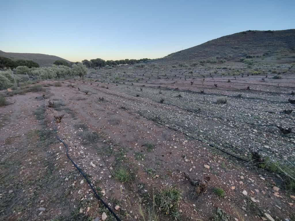 Fincas y solares-Venta-Alboloduy-2411624-Foto-8