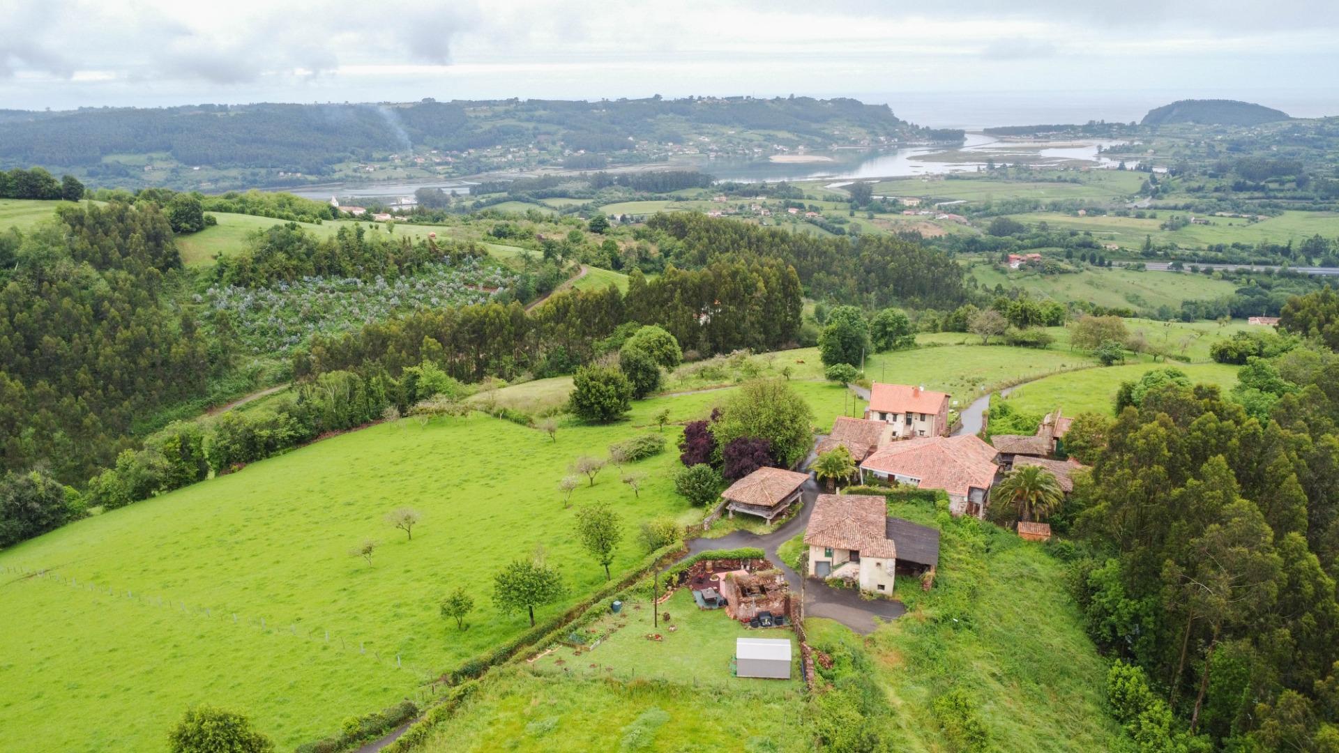Casas o chalets-Venta-Villaviciosa-1750061-Foto-2