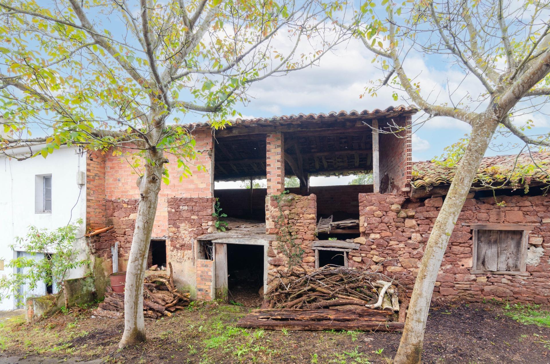 Casas o chalets-Venta-Villaviciosa-1750061