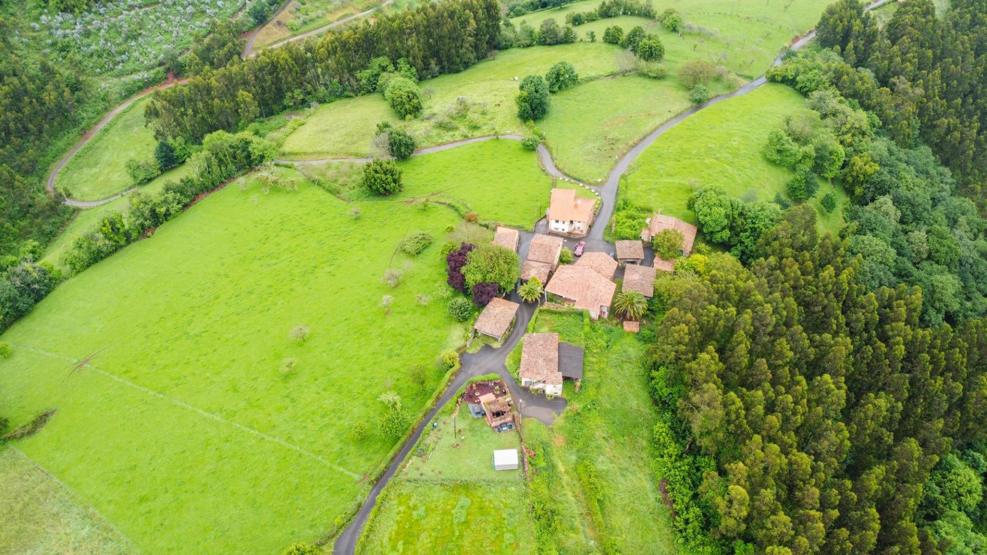 Casas o chalets-Venta-Villaviciosa-1750061-Foto-20