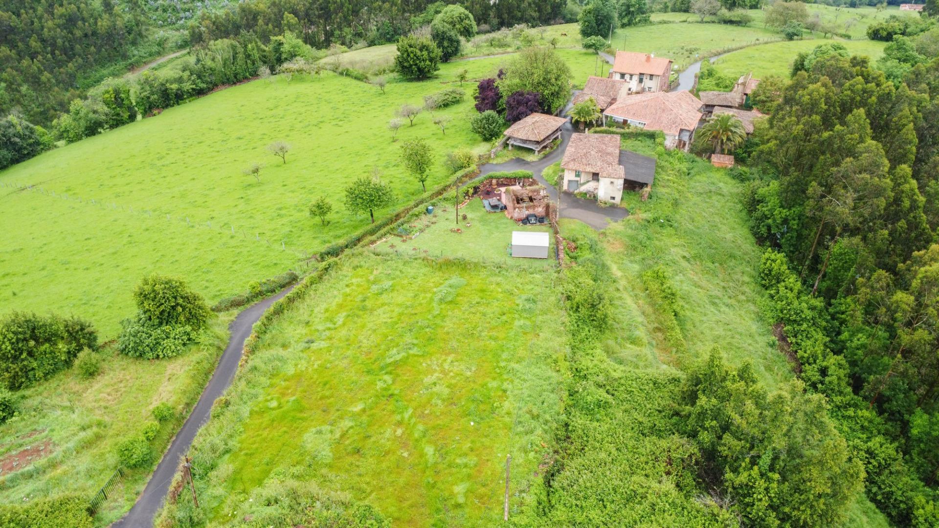 Casas o chalets-Venta-Villaviciosa-1750061-Foto-18