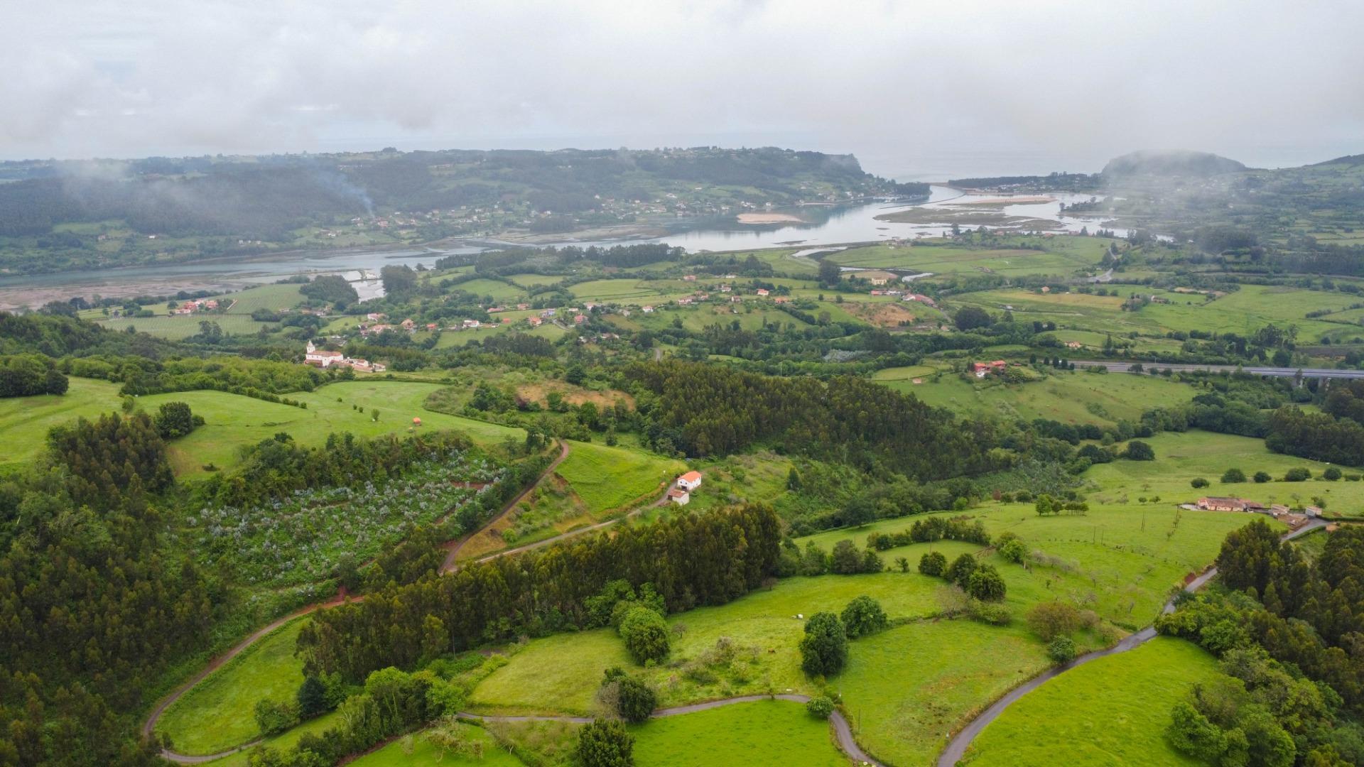 Casas o chalets-Venta-Villaviciosa-1750061-Foto-24