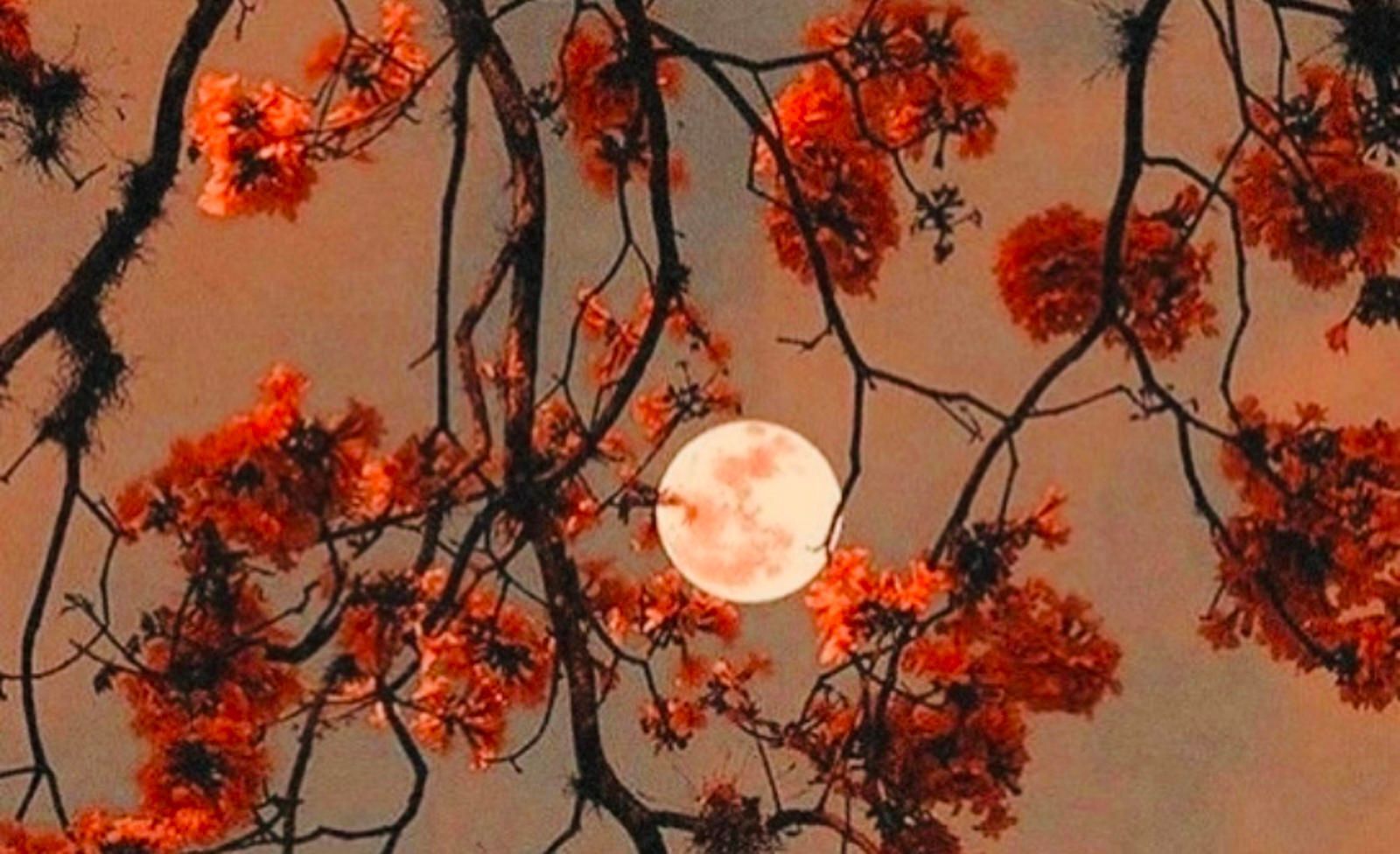 Pisos-Venta-Cieza-2256079-Foto-2