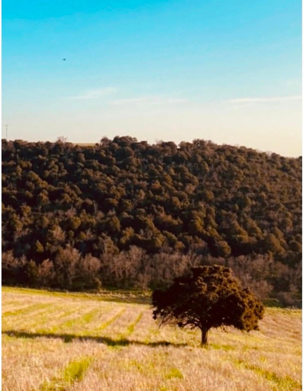 Pisos-Venta-Cieza-2256079-Foto-20