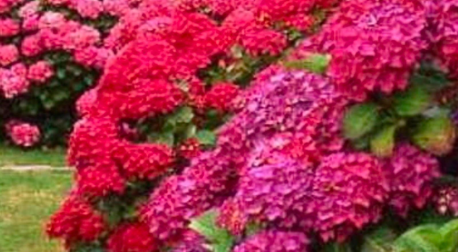 Pisos-Venta-Cieza-2256079-Foto-40