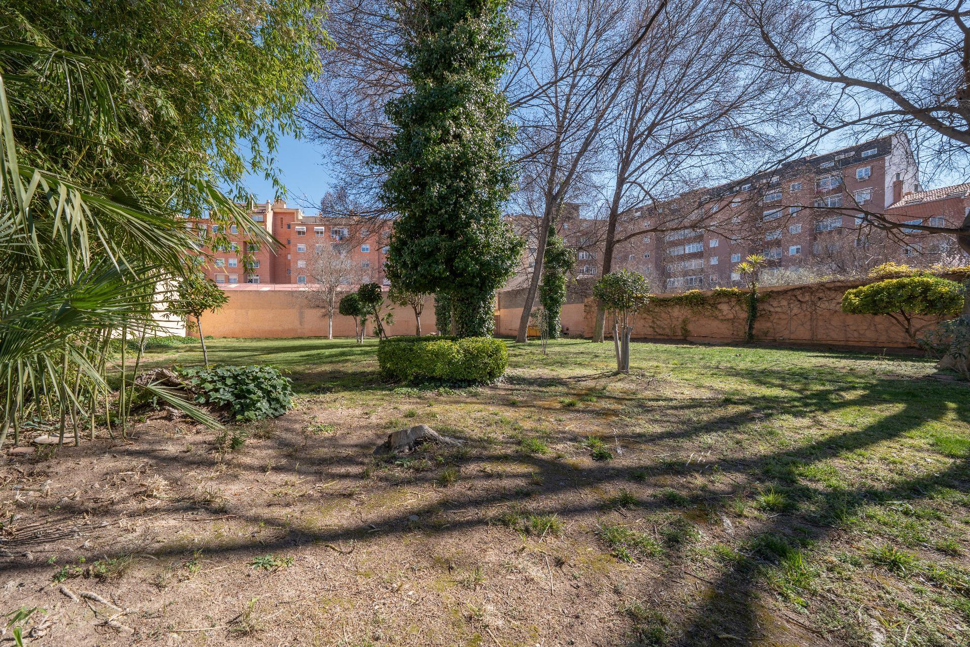 Casas o chalets-Venta-Almansa-2115889-Foto-18
