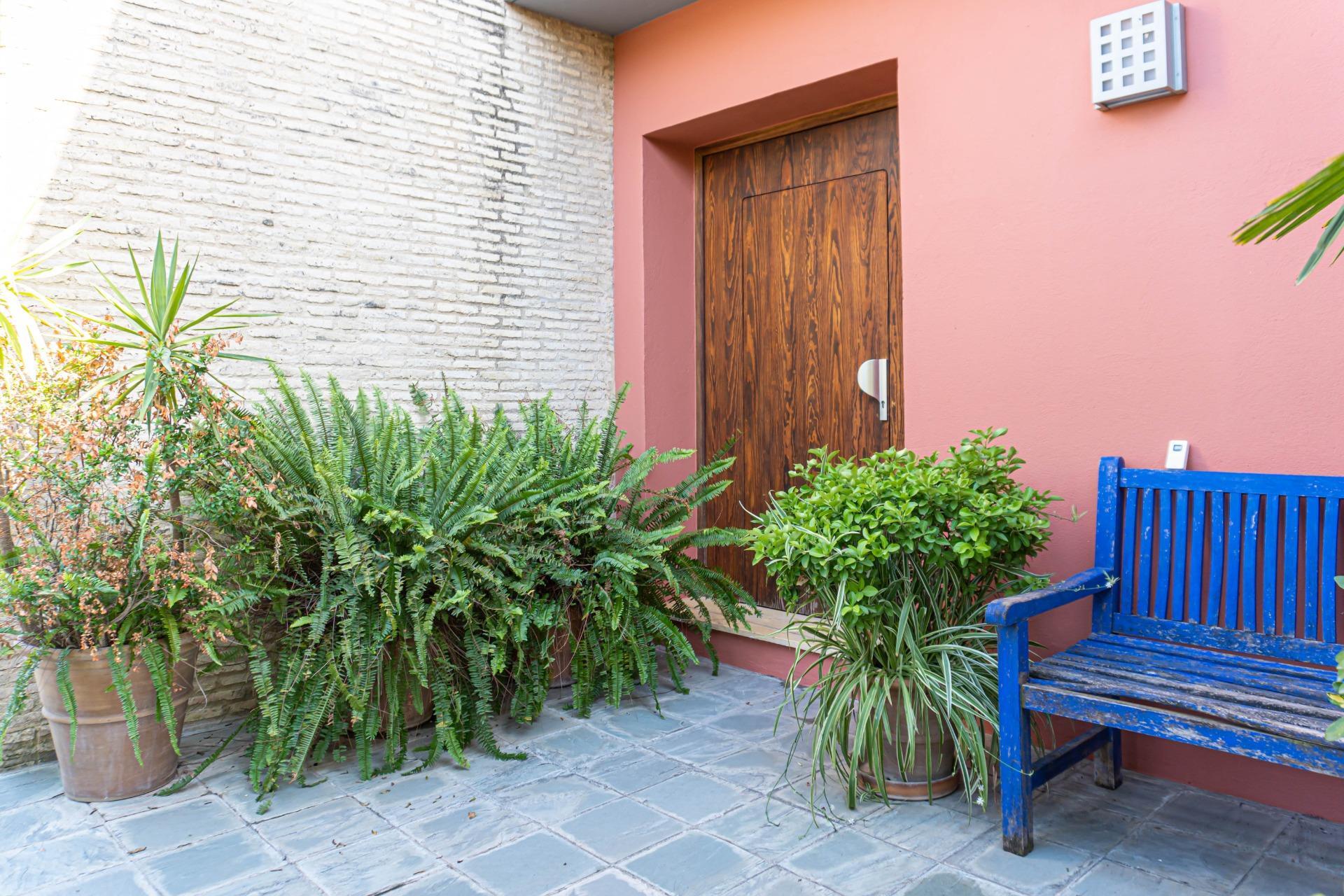 Casas o chalets-Venta-Valencina de la ConcepciÃ³n-1839860-Foto-57