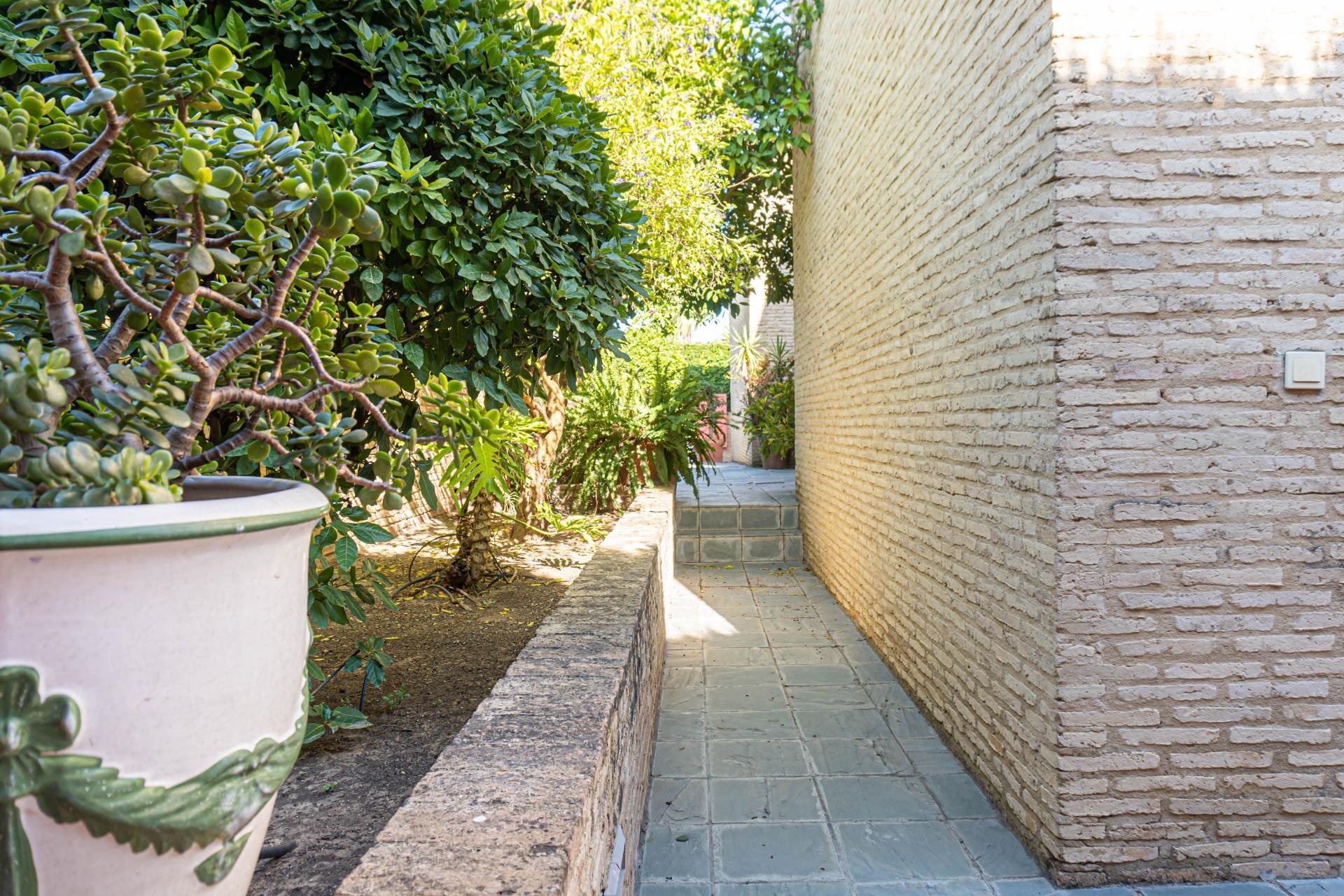 Casas o chalets-Venta-Valencina de la ConcepciÃ³n-1839860-Foto-60
