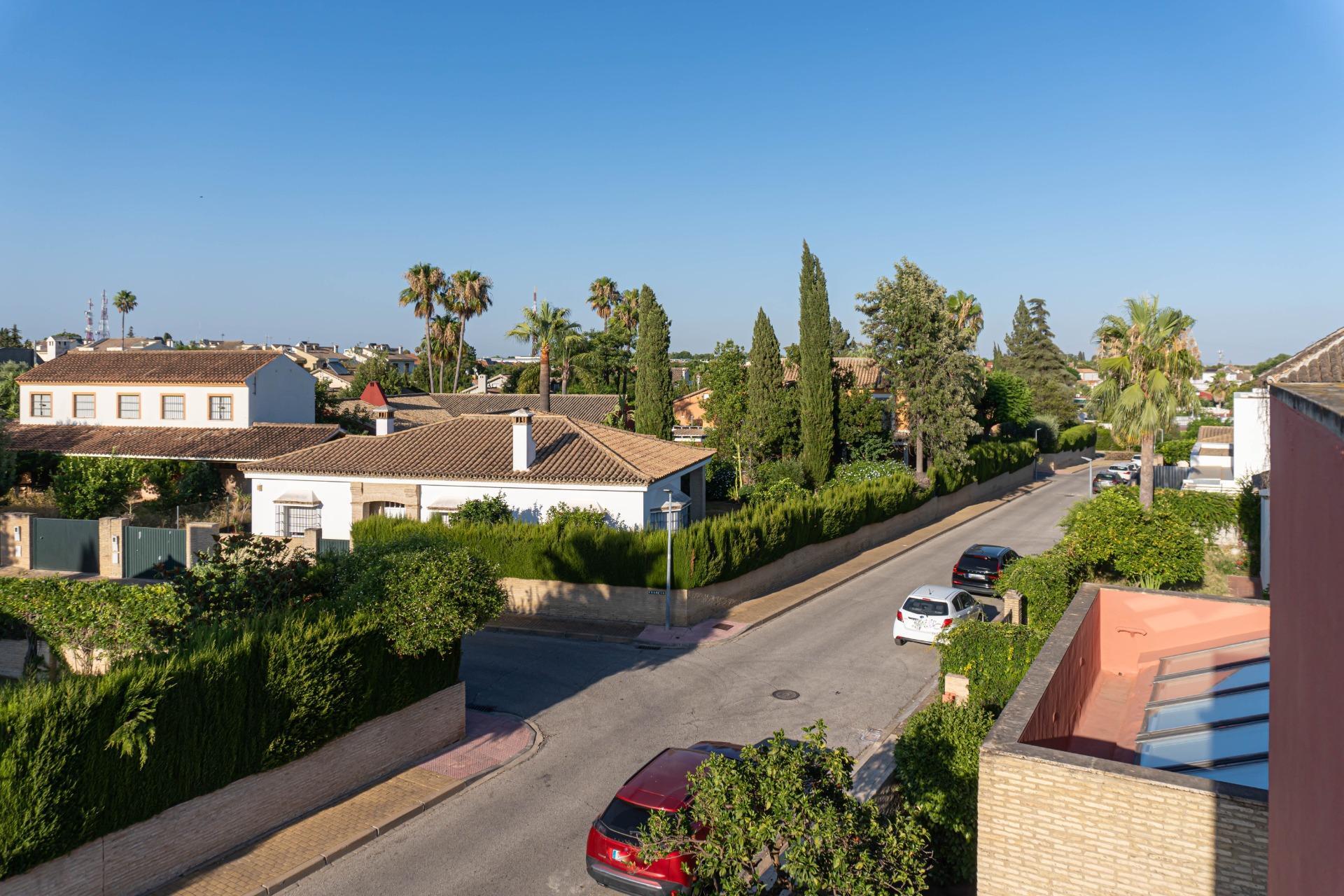 Casas o chalets-Venta-Valencina de la ConcepciÃ³n-1839860-Foto-67