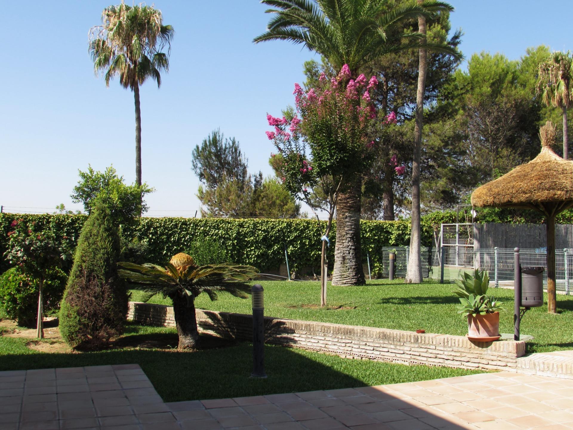 Casas o chalets-Venta-Valencina de la ConcepciÃ³n-1839860-Foto-69