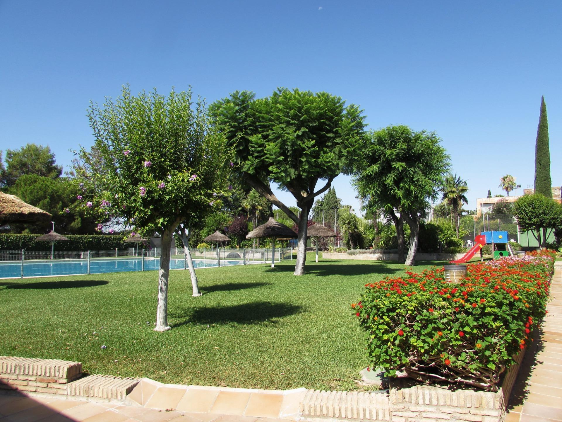 Casas o chalets-Venta-Valencina de la ConcepciÃ³n-1839860-Foto-70