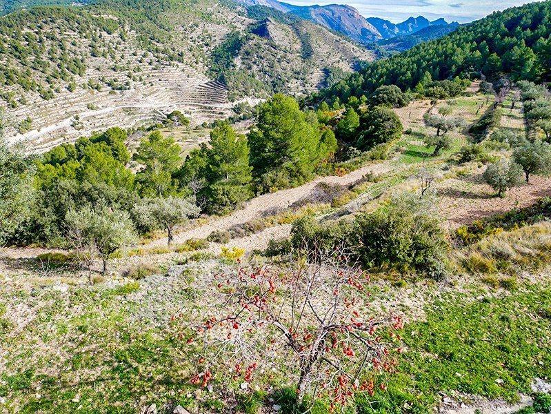 Casas o chalets-Venta-Orxeta-1385874-Foto-28