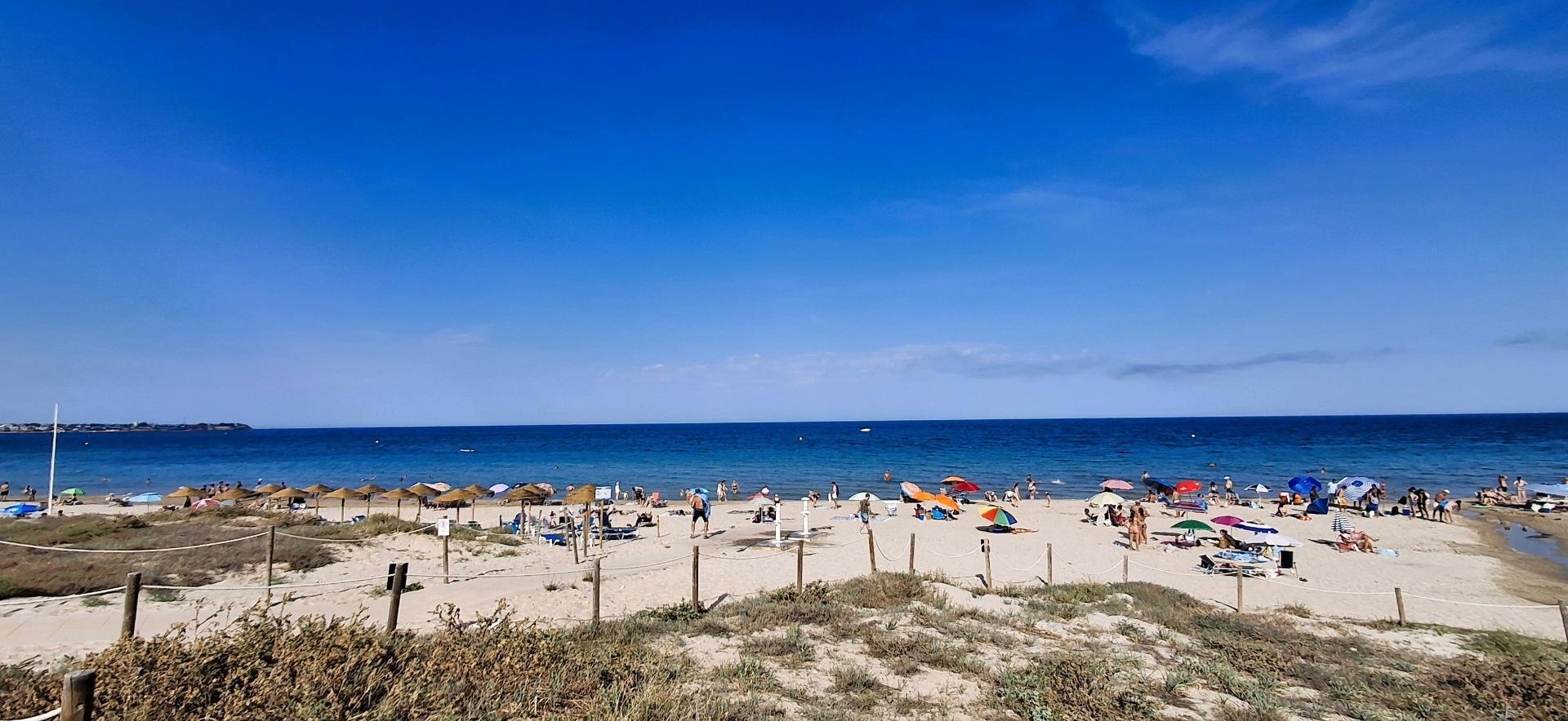 Piso en alquiler, Orihuela, Alicante/Alacant, Alicante/Alacant