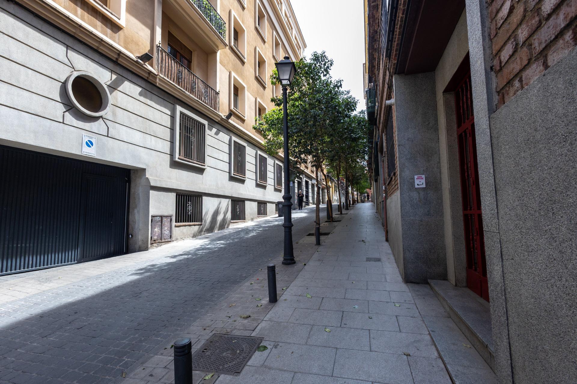 Pisos-Alquiler-Madrid-2411648-Foto-29