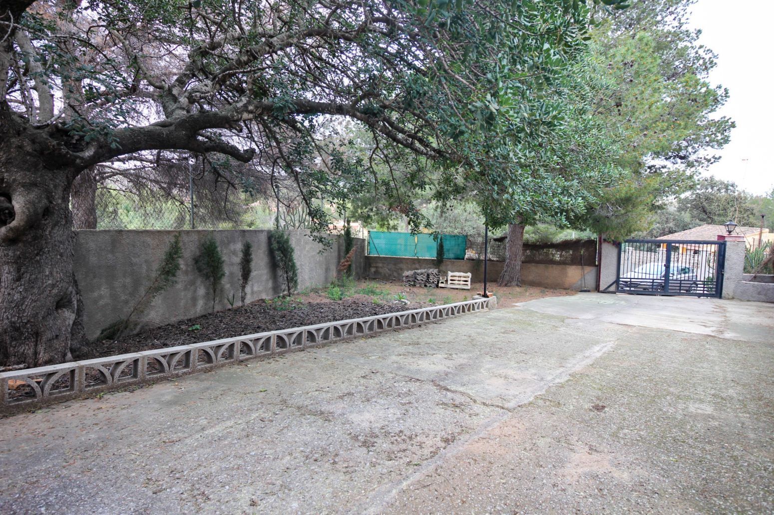 Casas o chalets-Venta-Albalat dels Tarongers-2411711-Foto-19