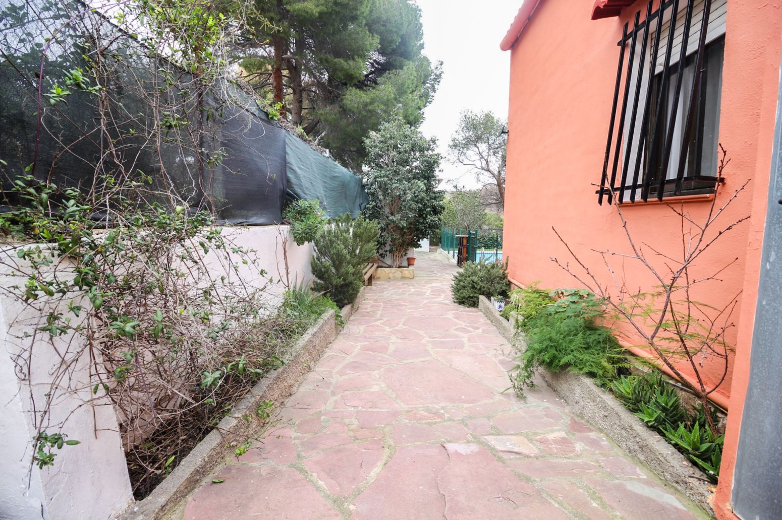 Casas o chalets-Venta-Albalat dels Tarongers-2411711-Foto-21