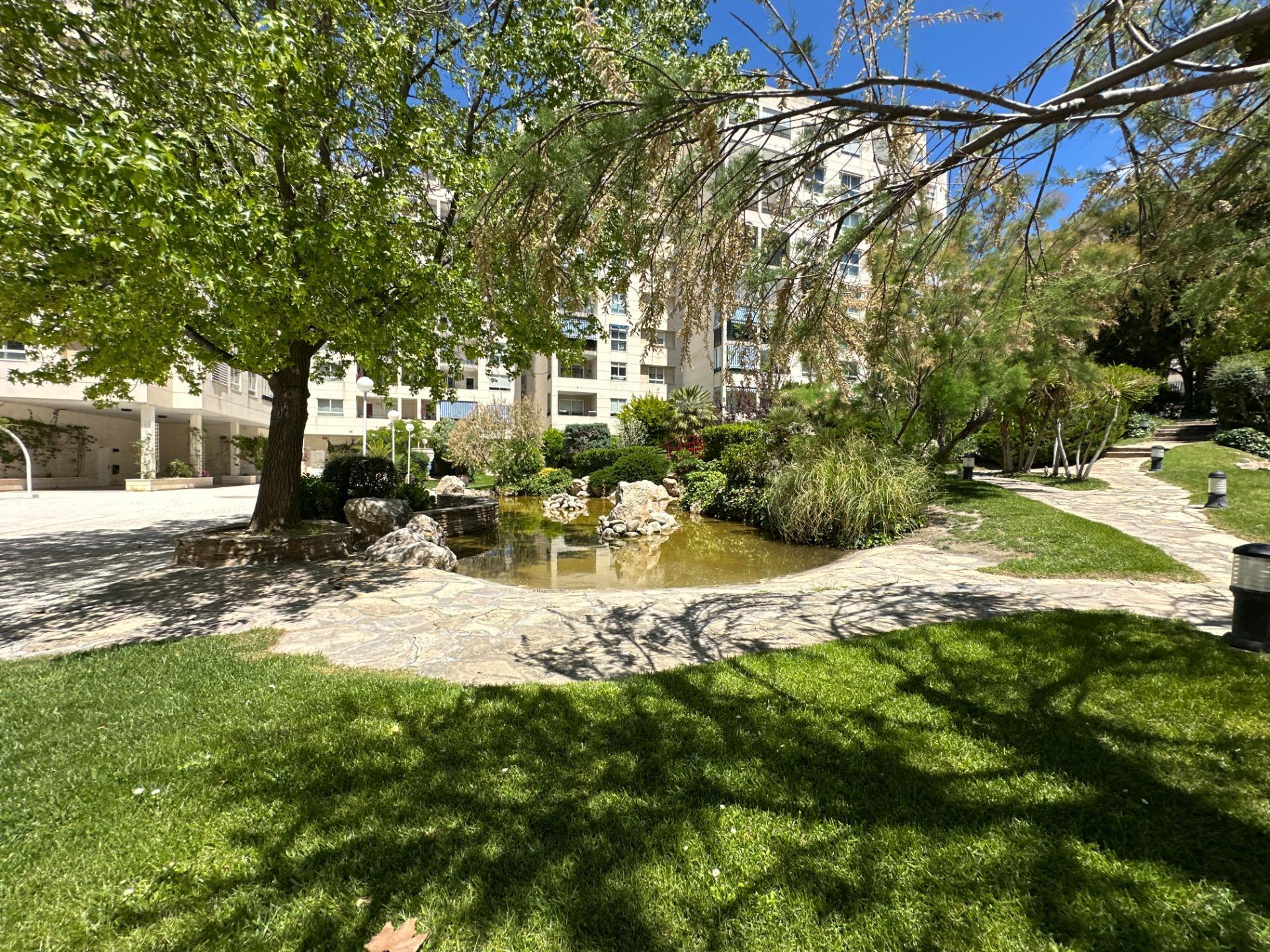Pisos-Venta-Zaragoza-2415920-Foto-57