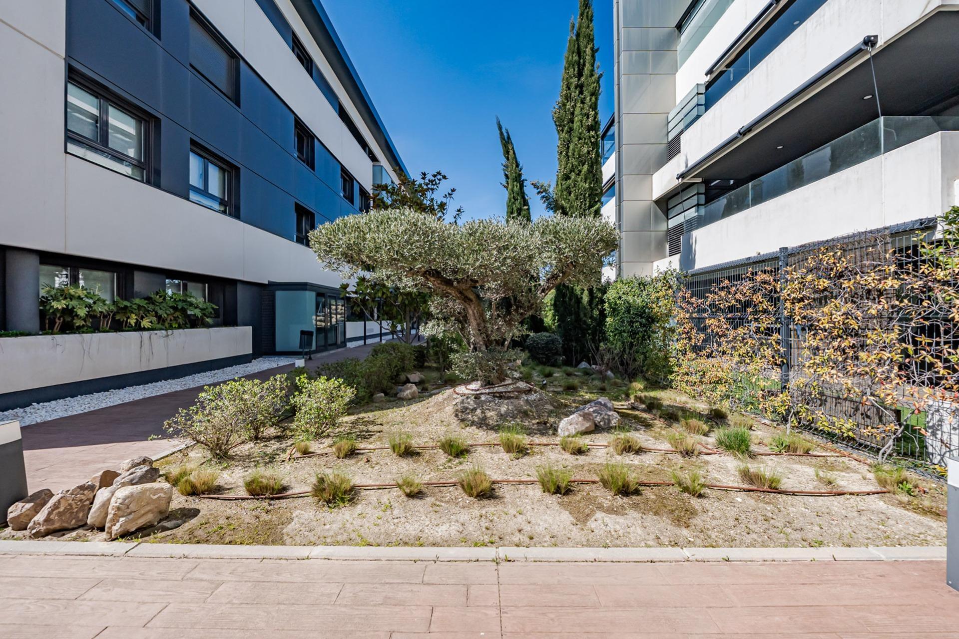Pisos-Venta-Boadilla del Monte-2249674-Foto-47
