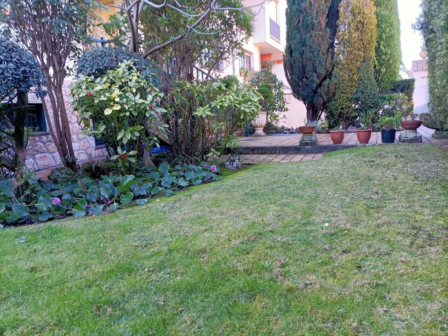 Casas o chalets-Venta-Llanera-805008-Foto-35