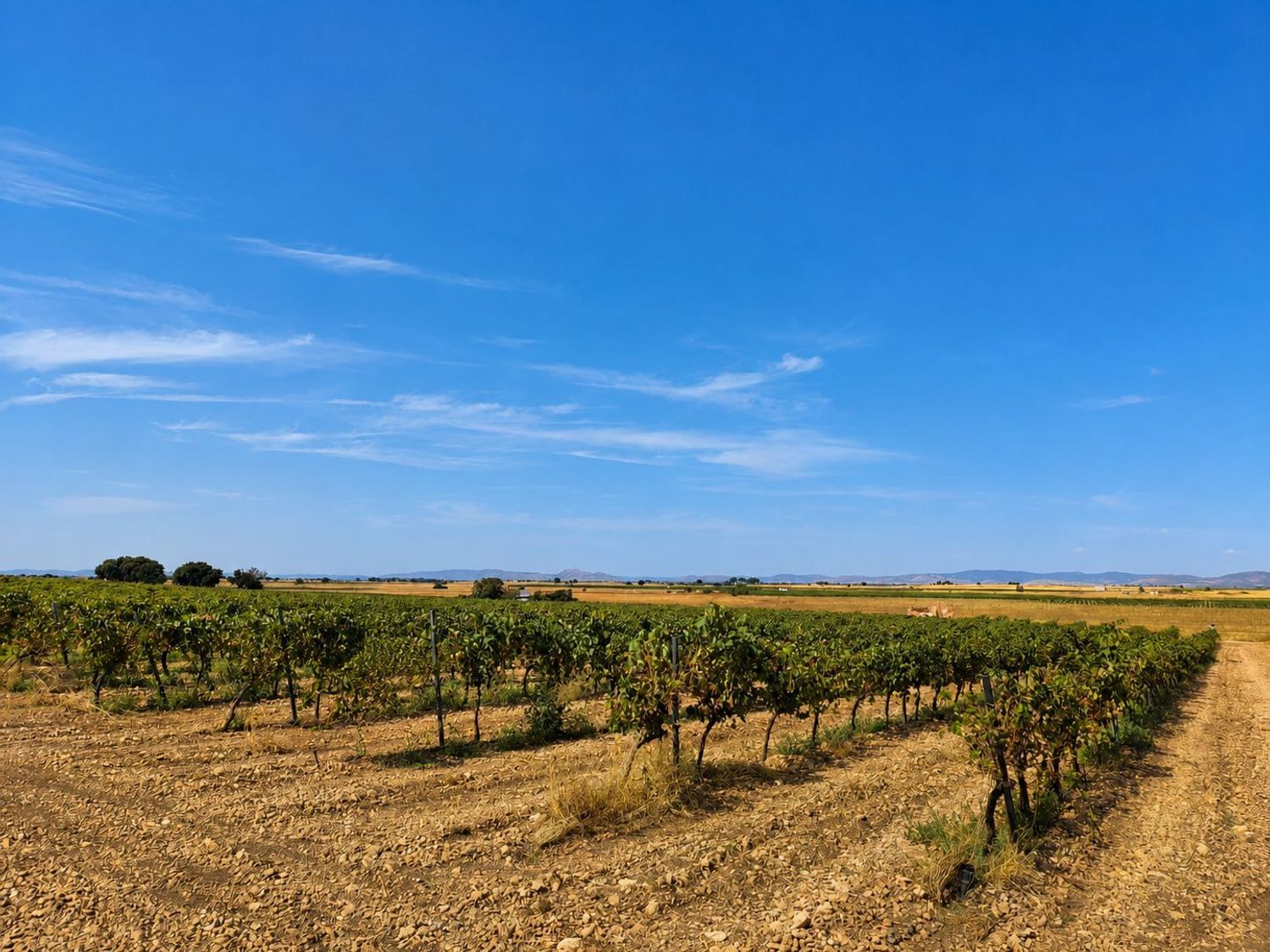 Suelo en venta, Torralba de Calatrava, Ciudad Real