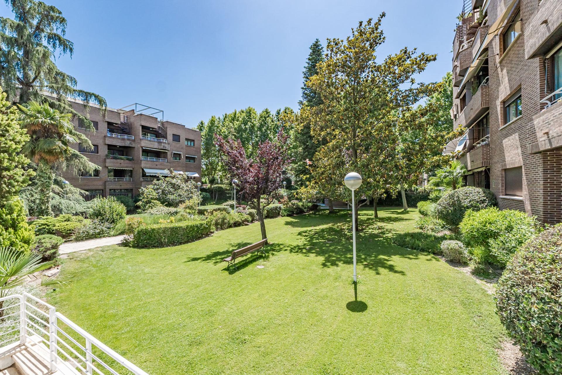 Pisos-Venta-Pozuelo de AlarcÃ³n-2411762-Foto-7