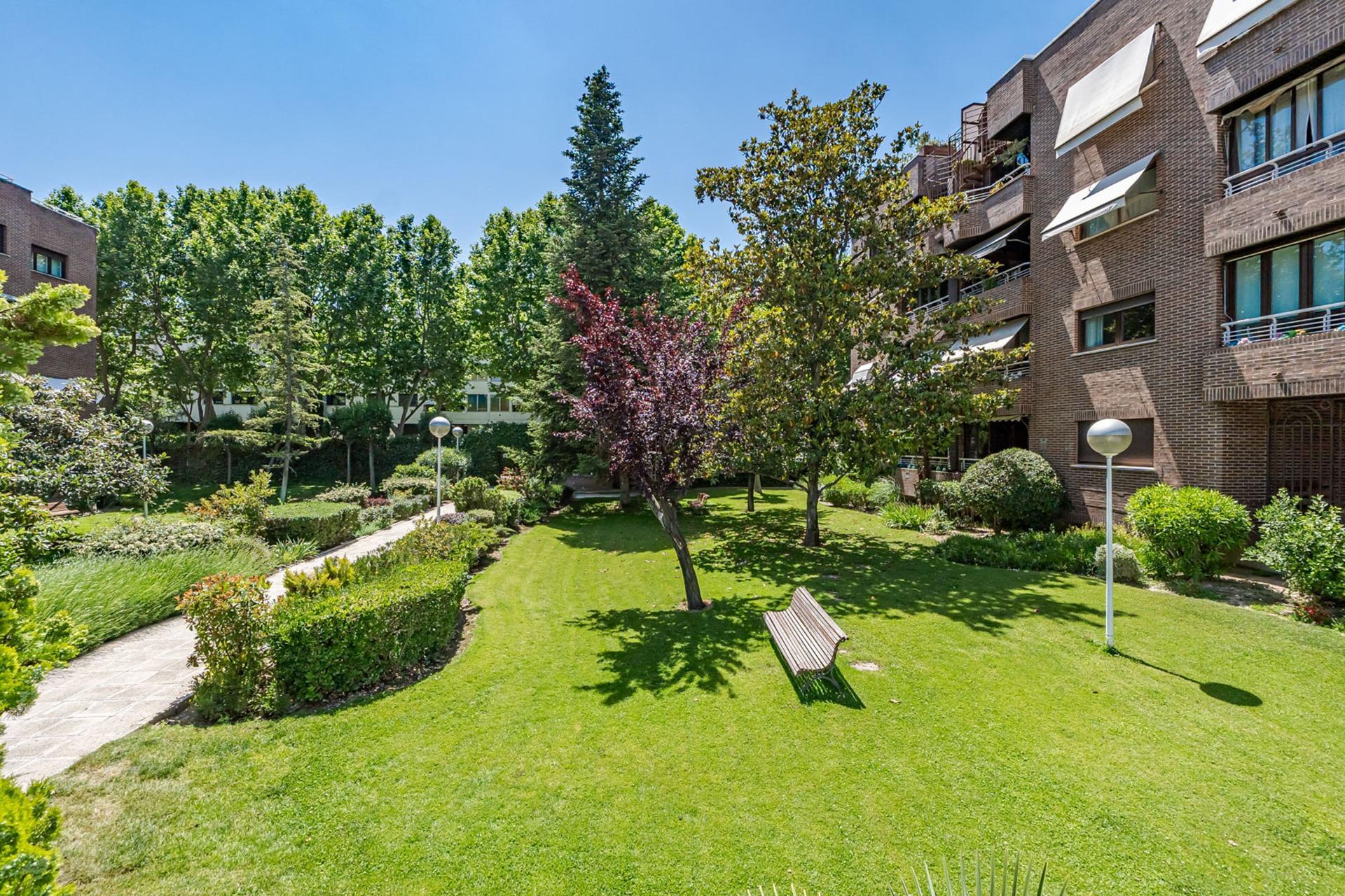 Pisos-Venta-Pozuelo de AlarcÃ³n-2411762-Foto-56