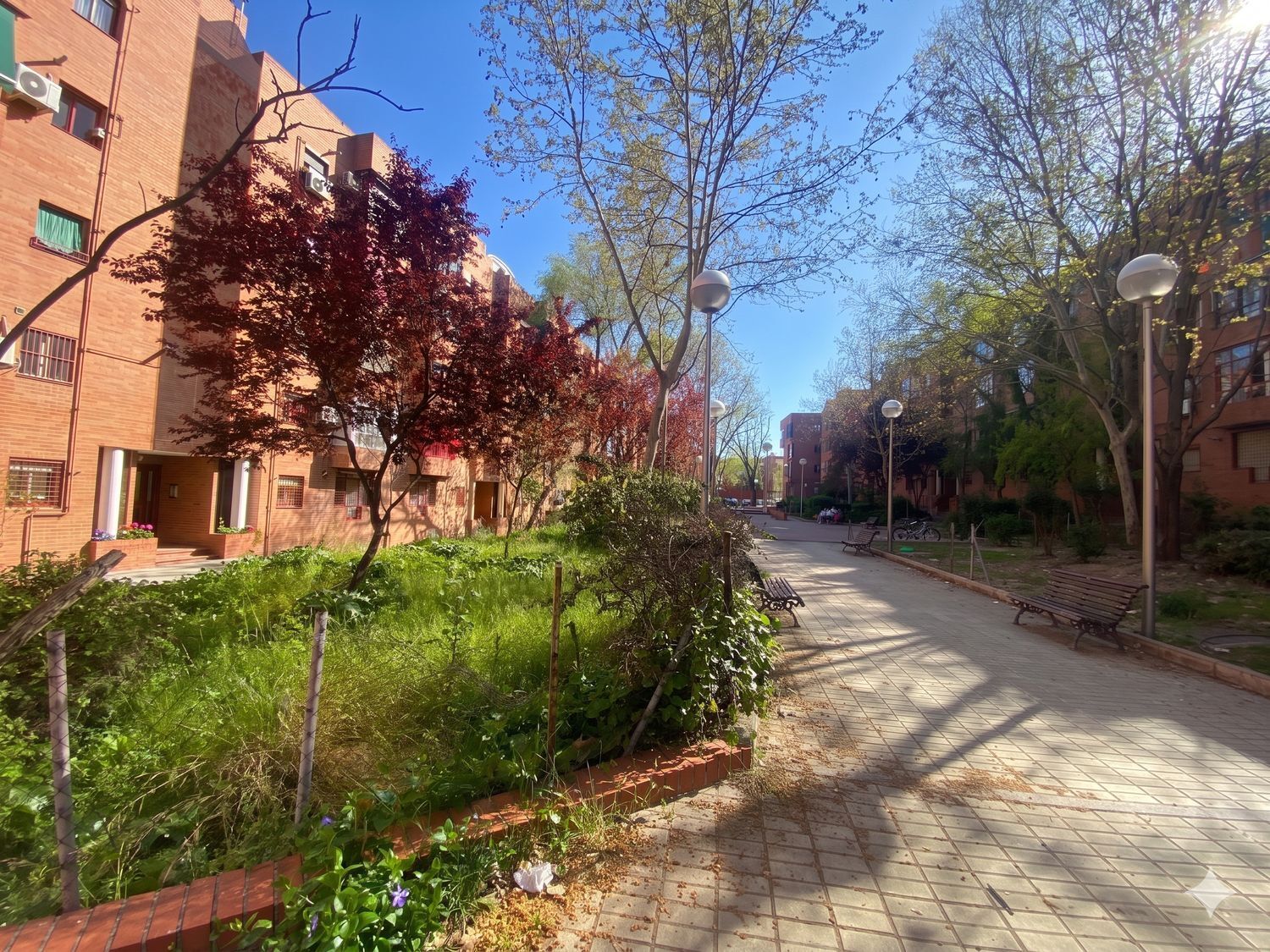 Negocios-Venta-Madrid-2412407-Foto-9