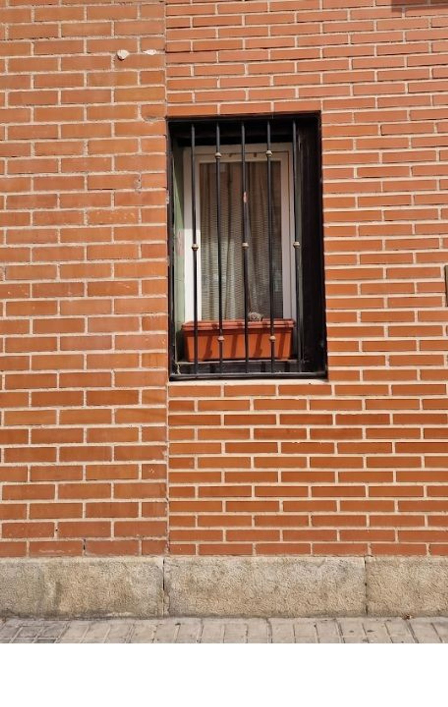 Negocios-Venta-Madrid-2412407-Foto-7