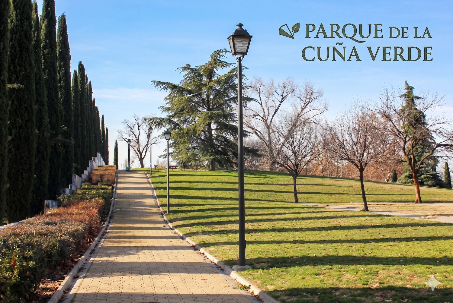 Negocios-Venta-Madrid-2412407-Foto-13