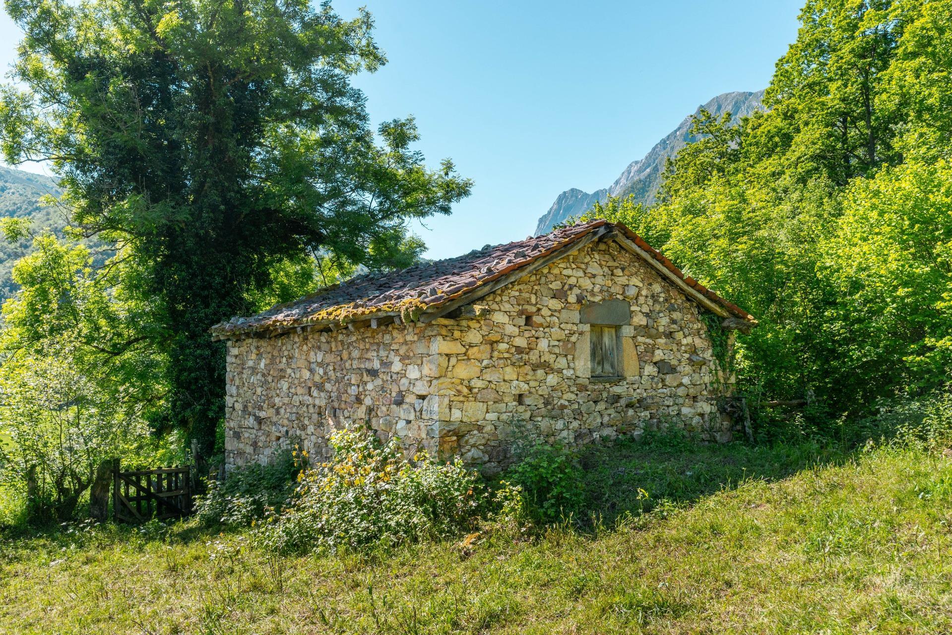 Casas o chalets-Venta-Quirós-2411750