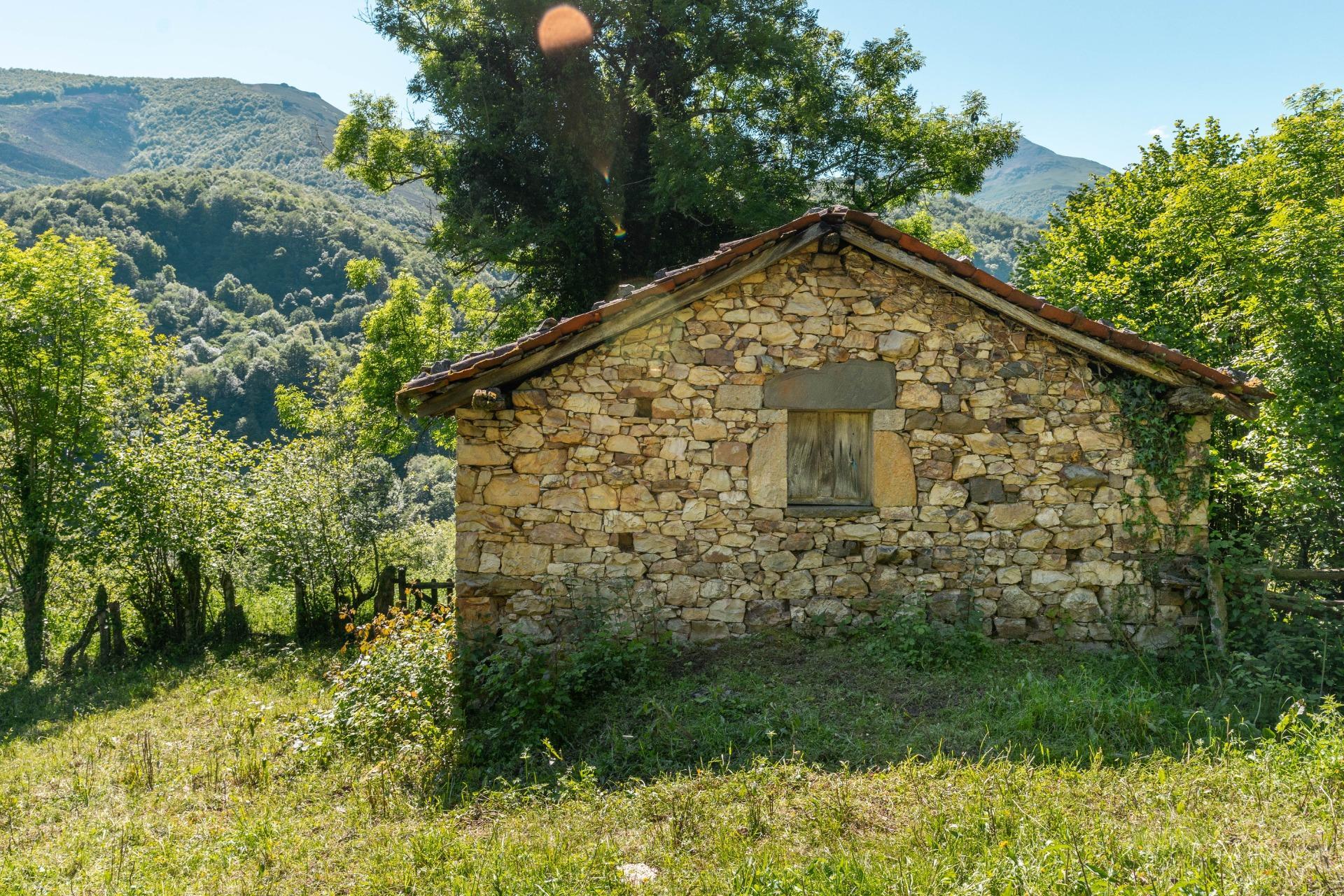 Casas o chalets-Venta-QuirÃ³s-2411750-Foto-2