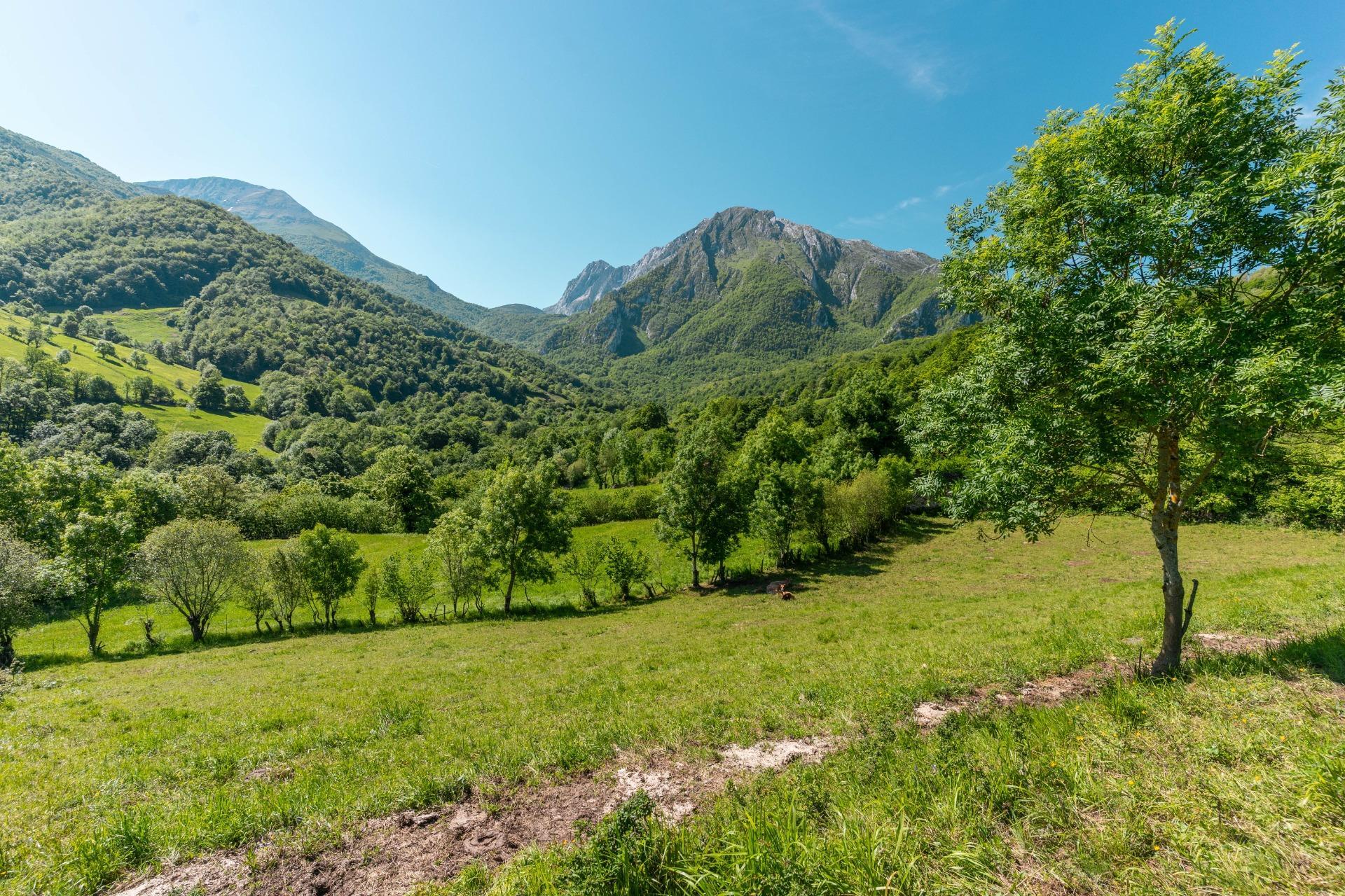 Casas o chalets-Venta-QuirÃ³s-2411750-Foto-26