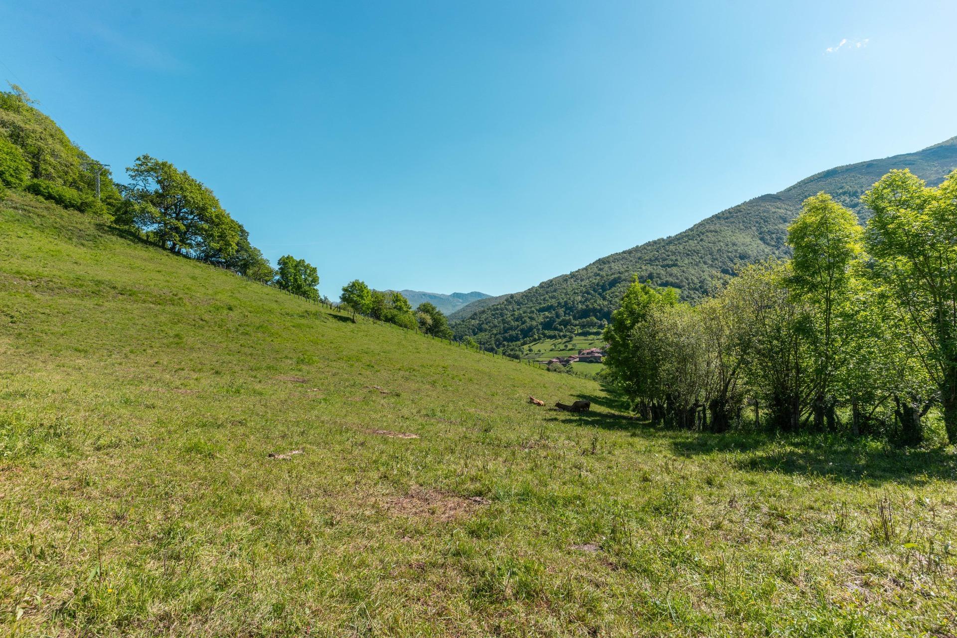 Casas o chalets-Venta-QuirÃ³s-2411750-Foto-55
