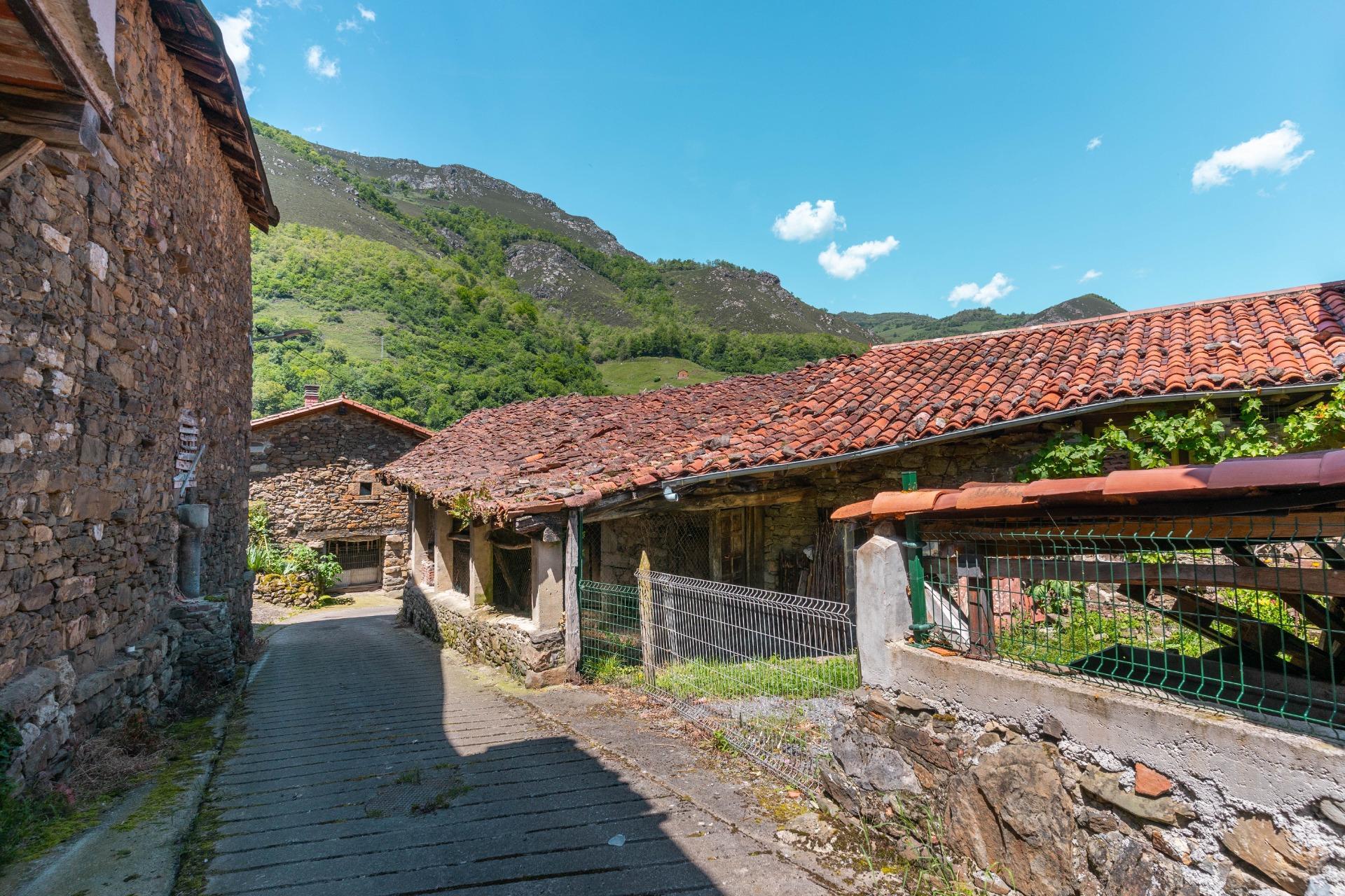 Casas o chalets-Venta-QuirÃ³s-2411753-Foto-11