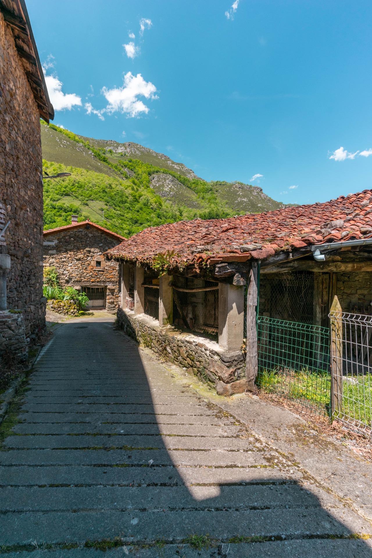 Casas o chalets-Venta-QuirÃ³s-2411753-Foto-8