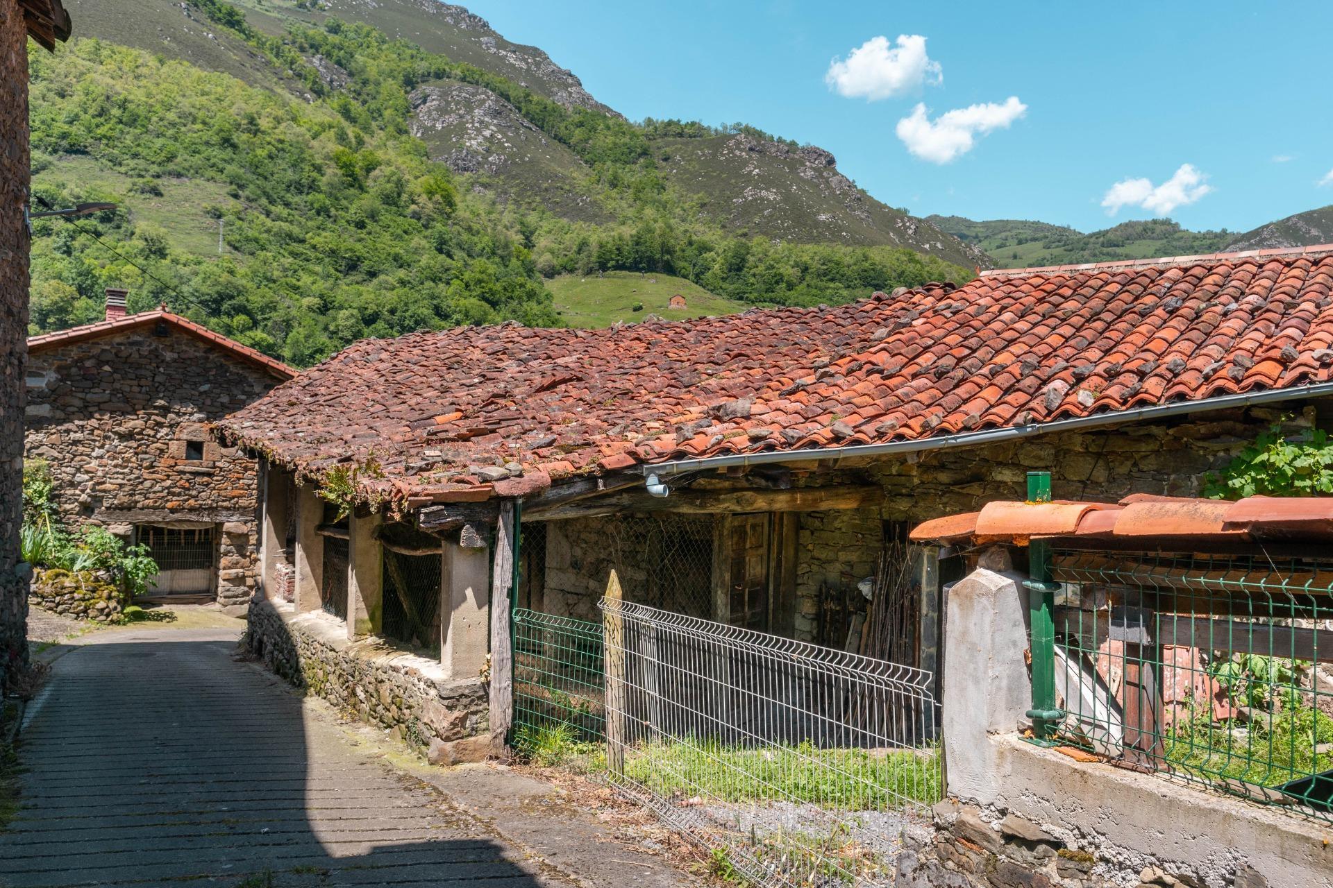 Casas o chalets-Venta-QuirÃ³s-2411753-Foto-10