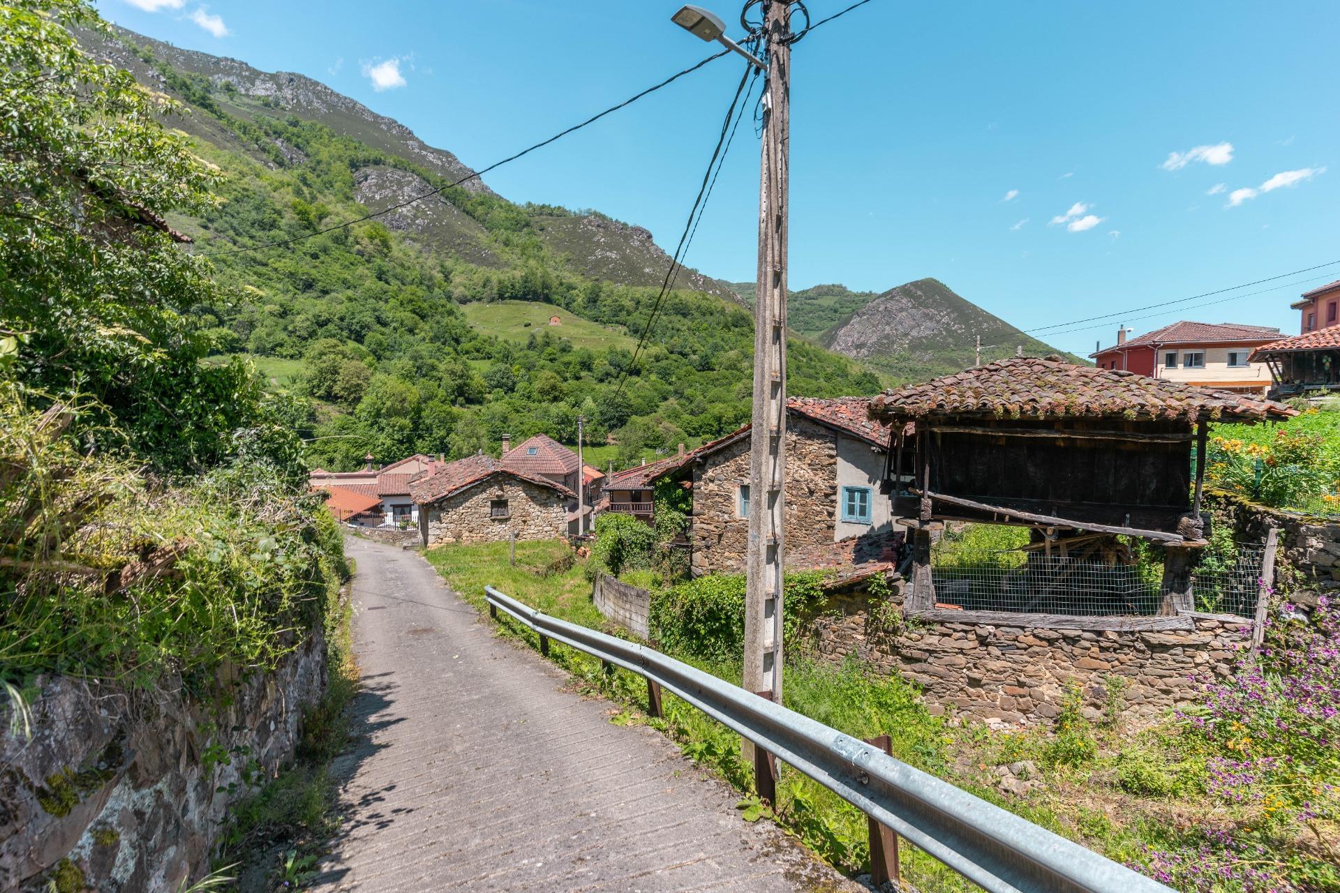 Casas o chalets-Venta-QuirÃ³s-2411753-Foto-28