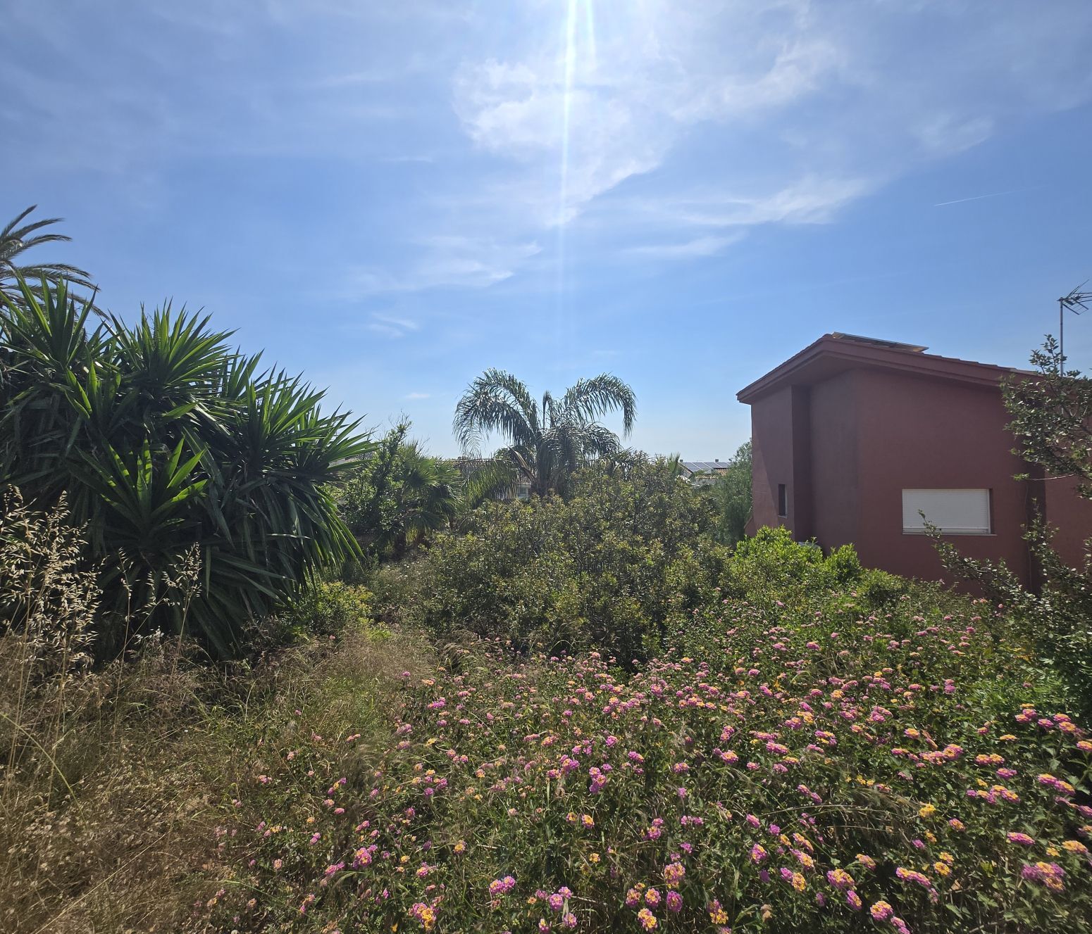 Fincas y solares-Venta-PuÃ§ol-2411855-Foto-18