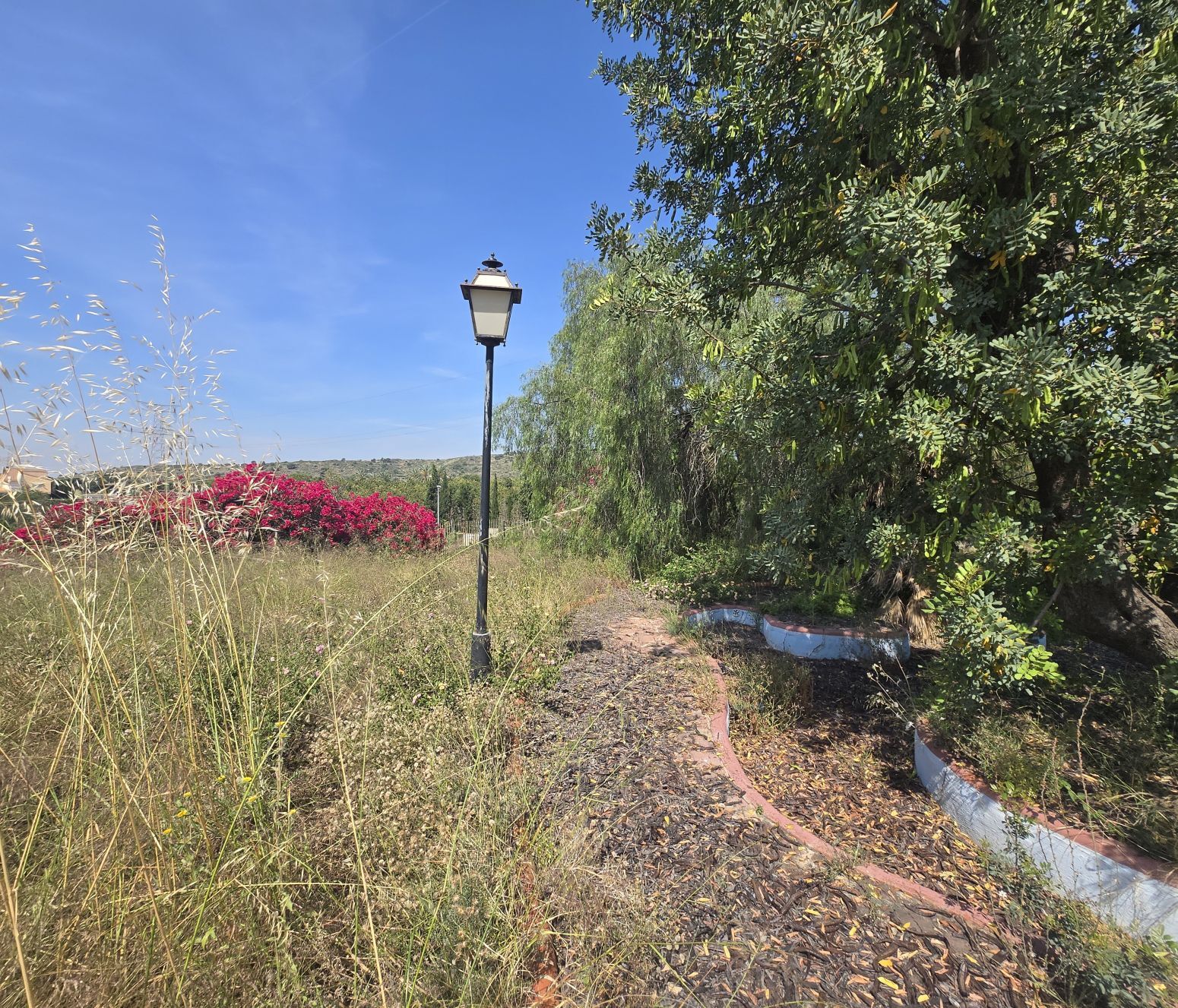 Fincas y solares-Venta-PuÃ§ol-2411855-Foto-23