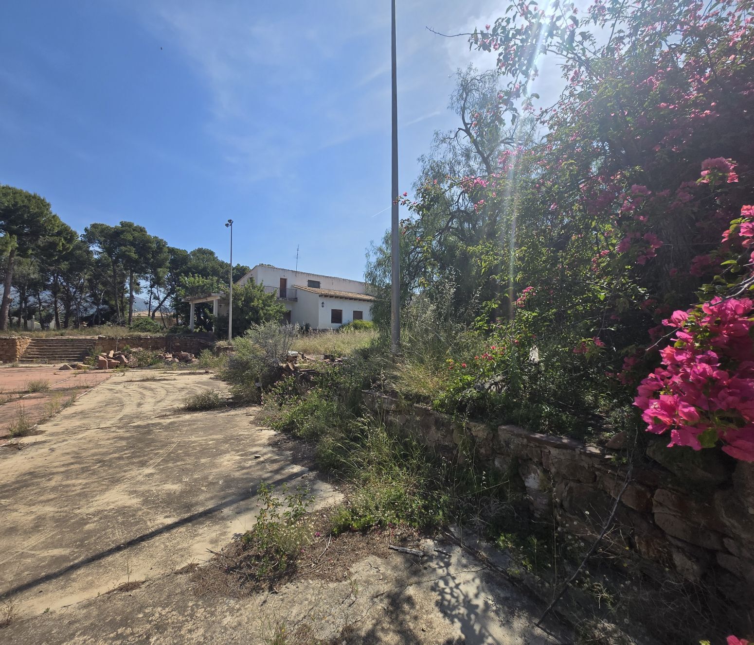 Fincas y solares-Venta-PuÃ§ol-2411855-Foto-27