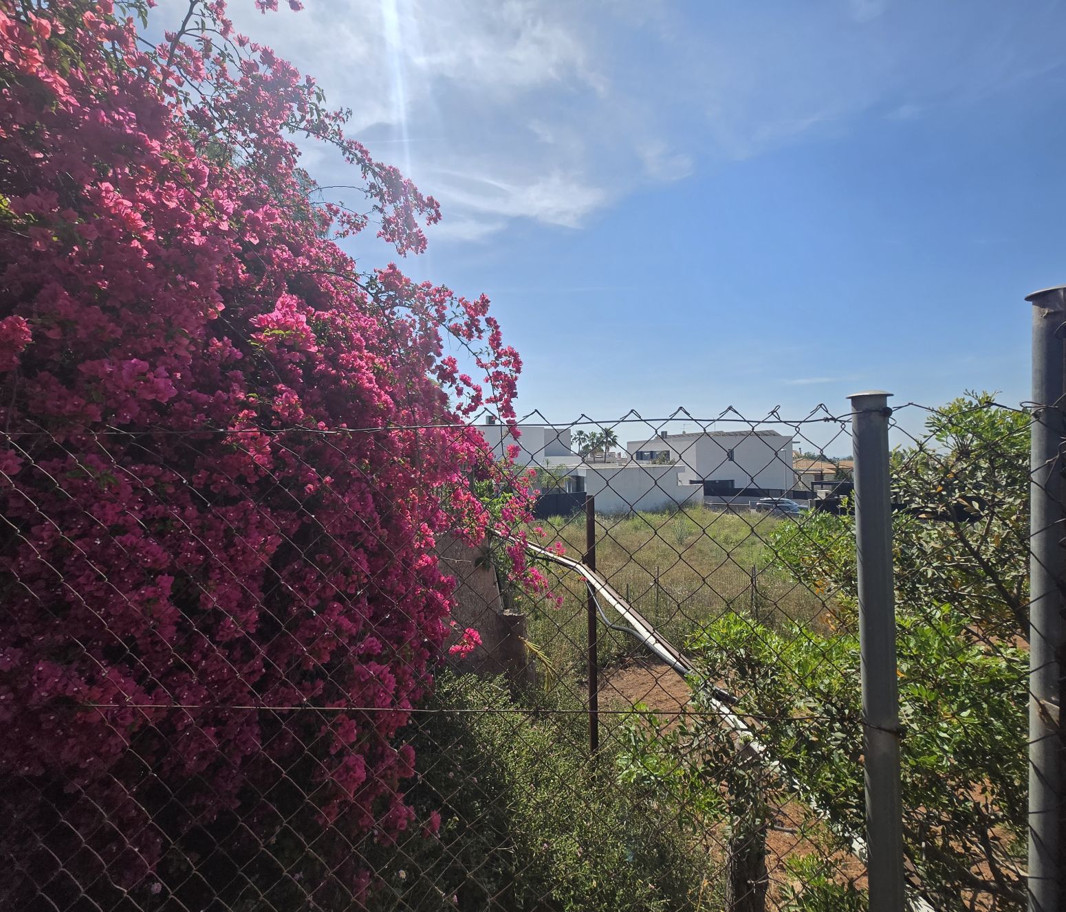Fincas y solares-Venta-PuÃ§ol-2411855-Foto-28